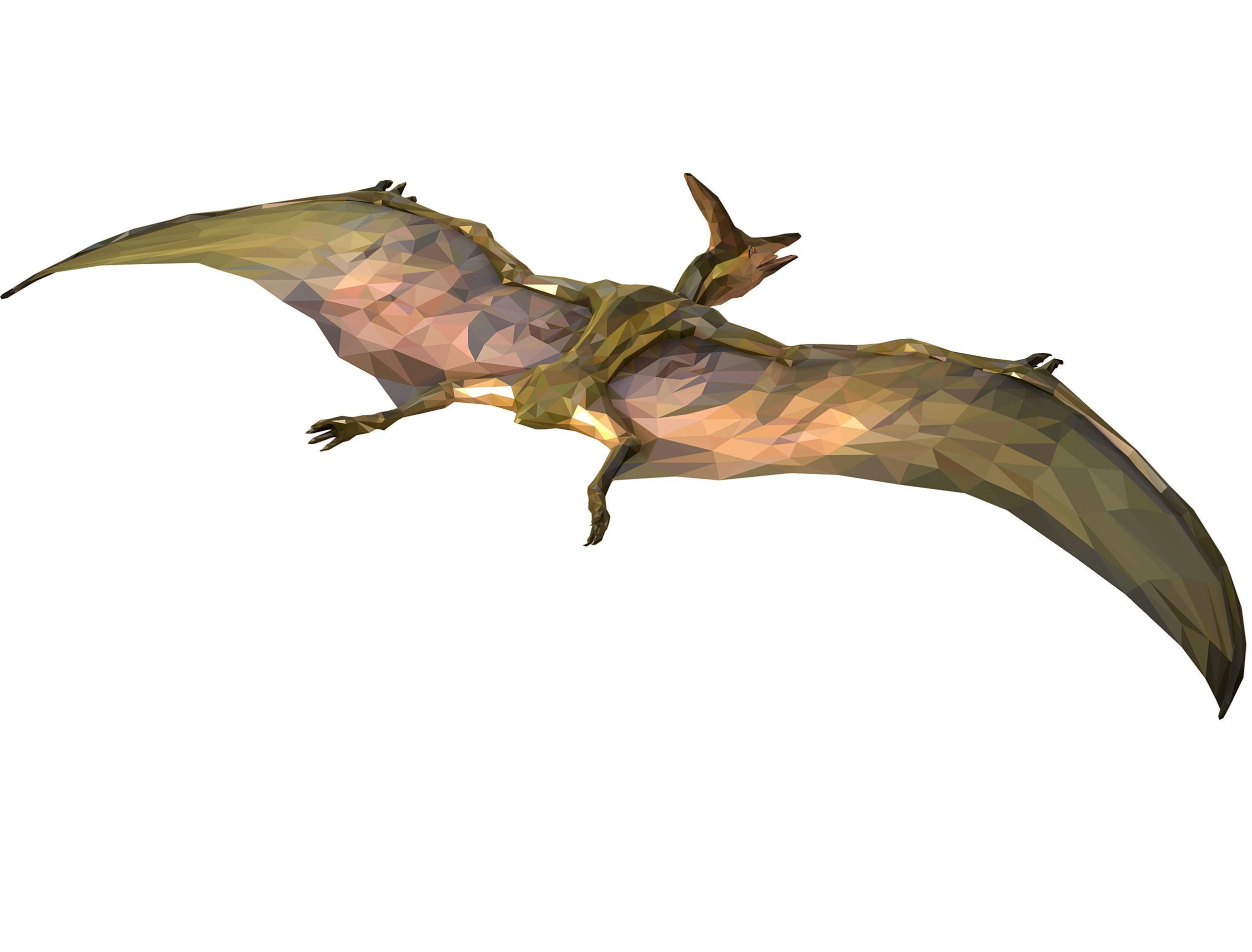 Dinosaur Pteranodon LowPoly Art Low-poly 3D model_12
