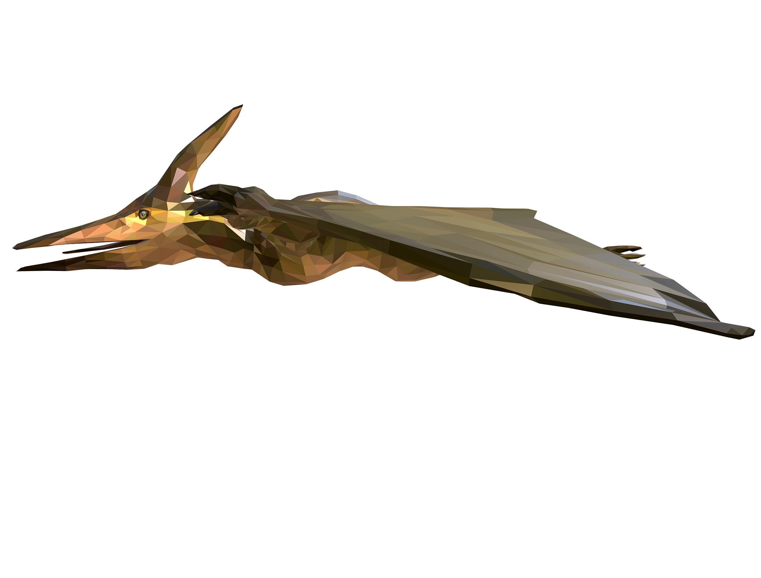 Dinosaur Pteranodon LowPoly Art Low-poly 3D model_22