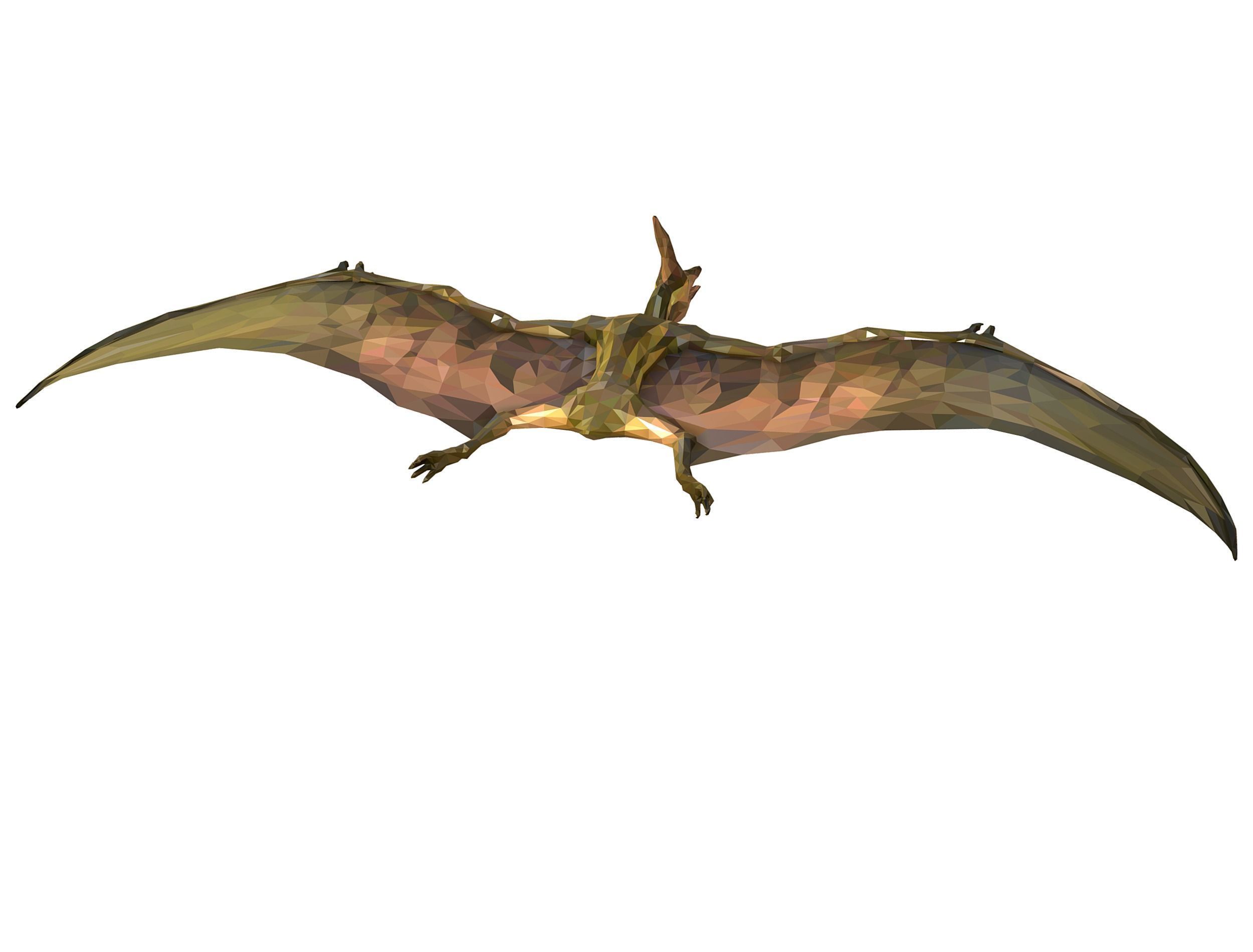 Dinosaur Pteranodon LowPoly Art Low-poly 3D model_13