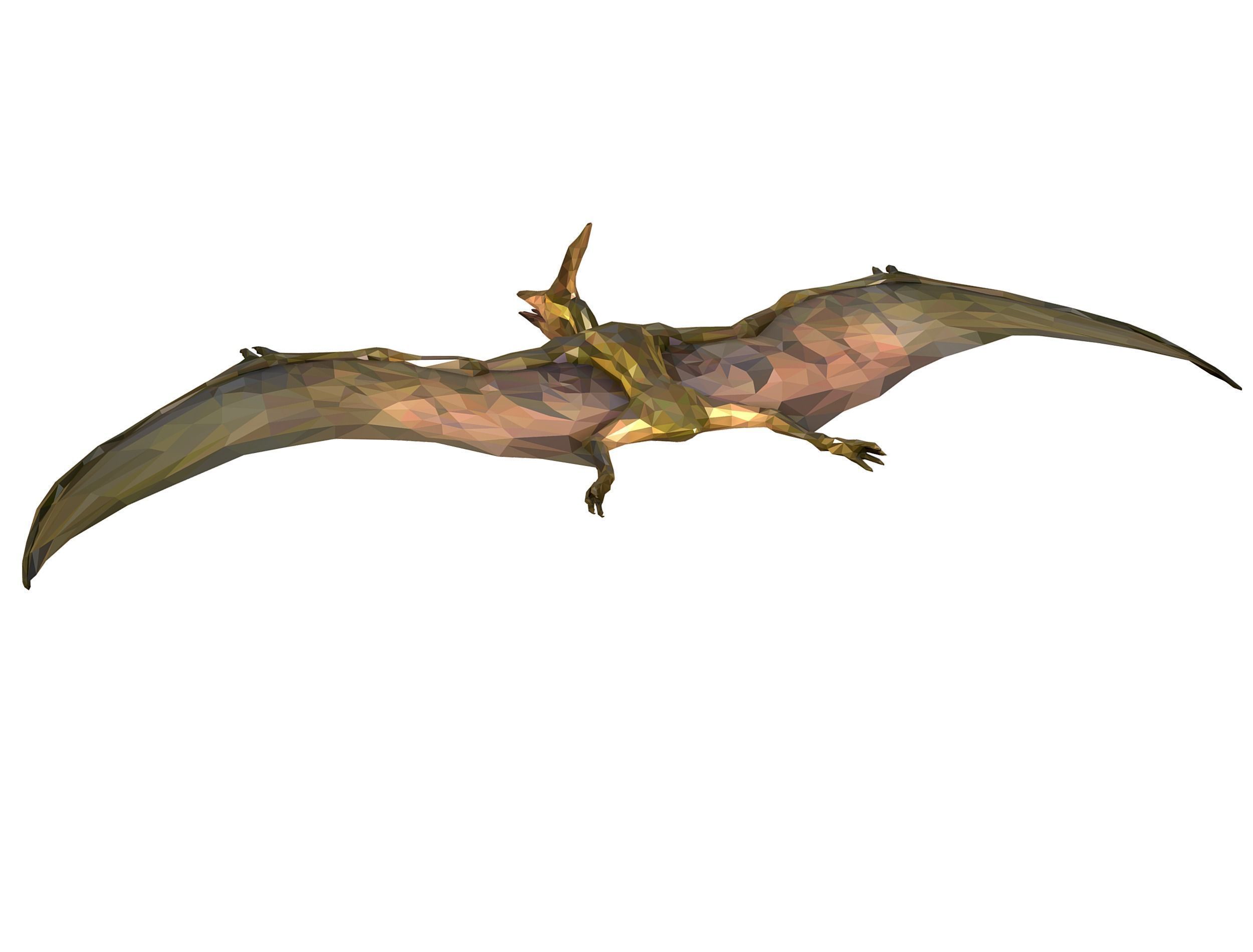 Dinosaur Pteranodon LowPoly Art Low-poly 3D model_15