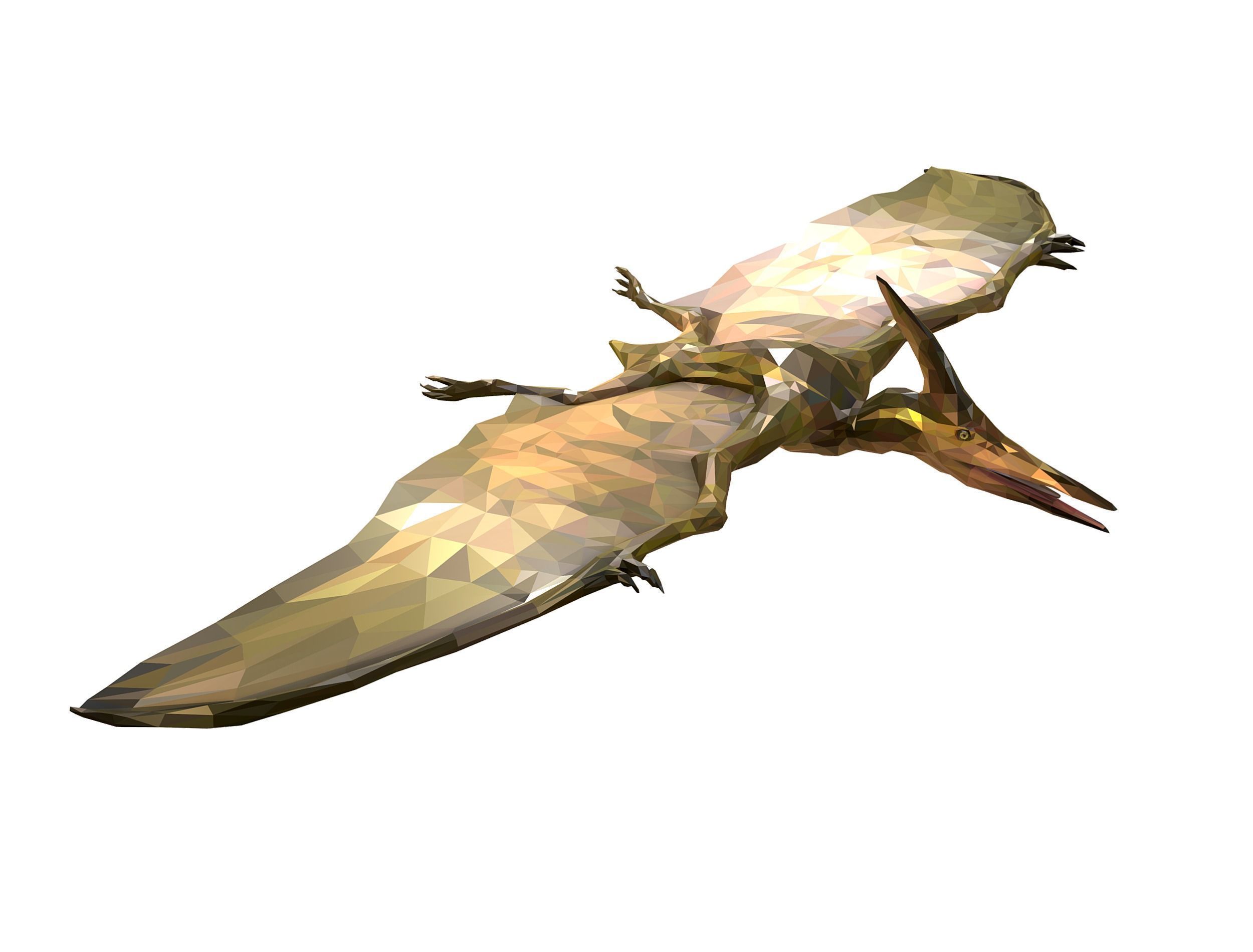Dinosaur Pteranodon LowPoly Art Low-poly 3D model_7