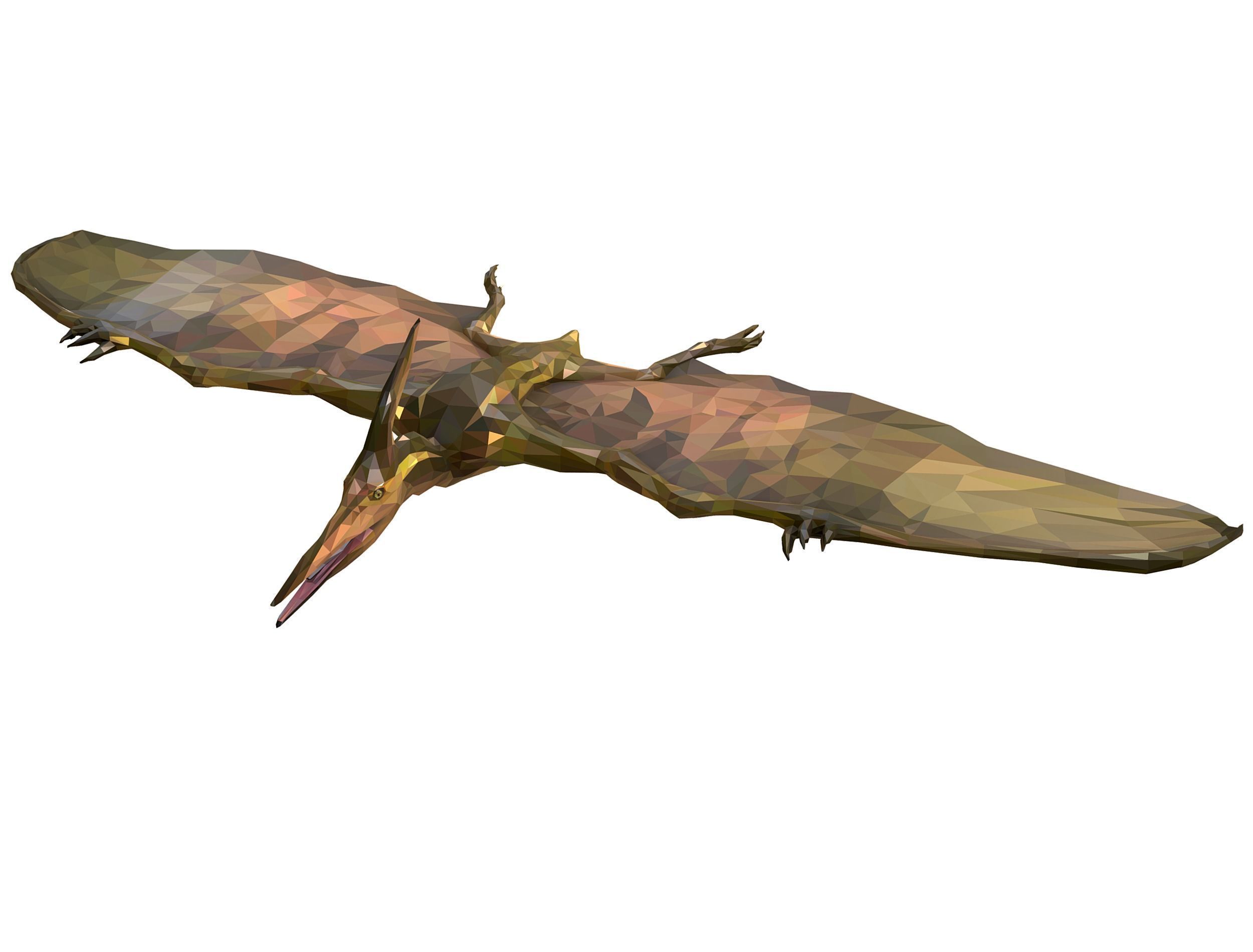 Dinosaur Pteranodon LowPoly Art Low-poly 3D model_1