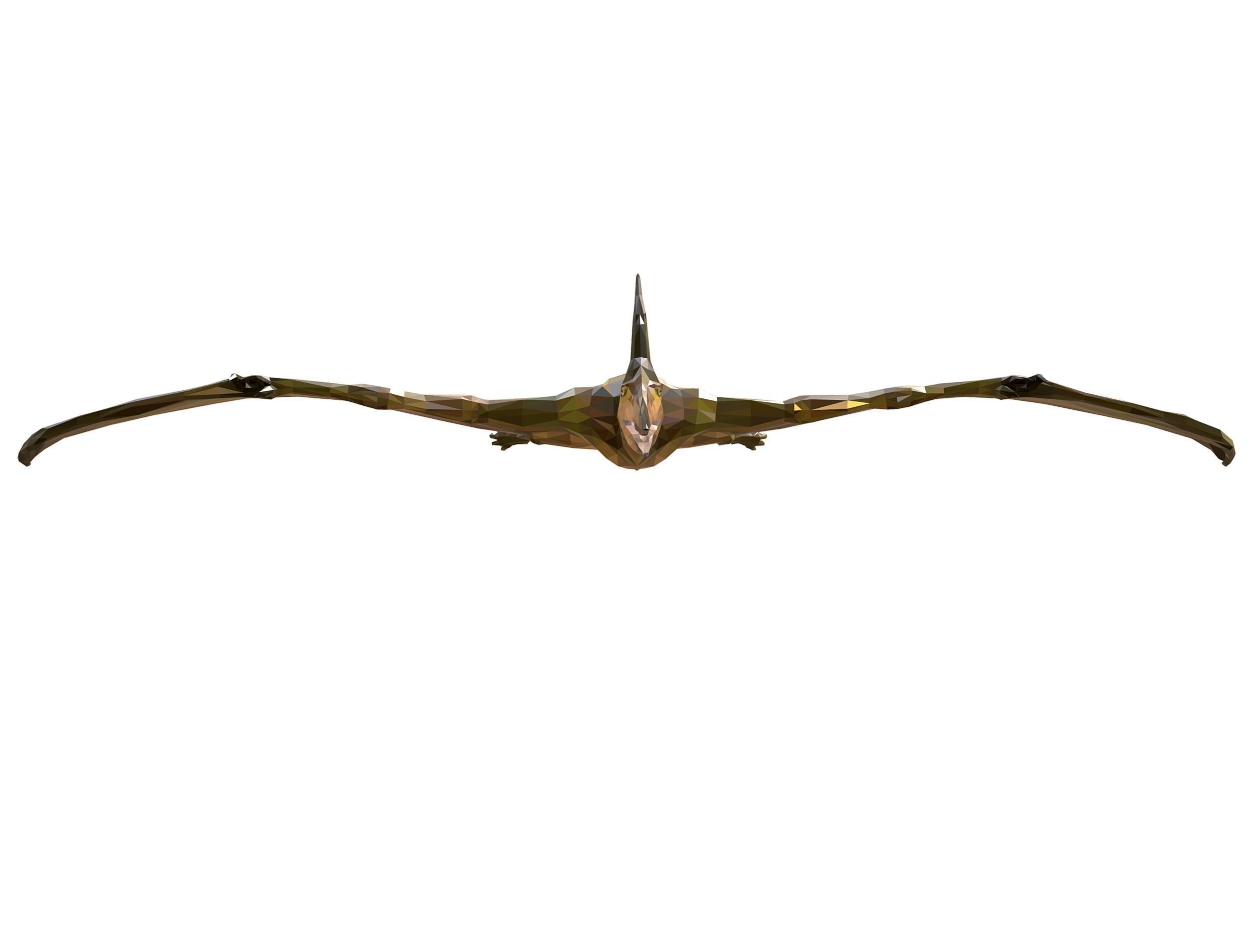 Dinosaur Pteranodon LowPoly Art Low-poly 3D model_23