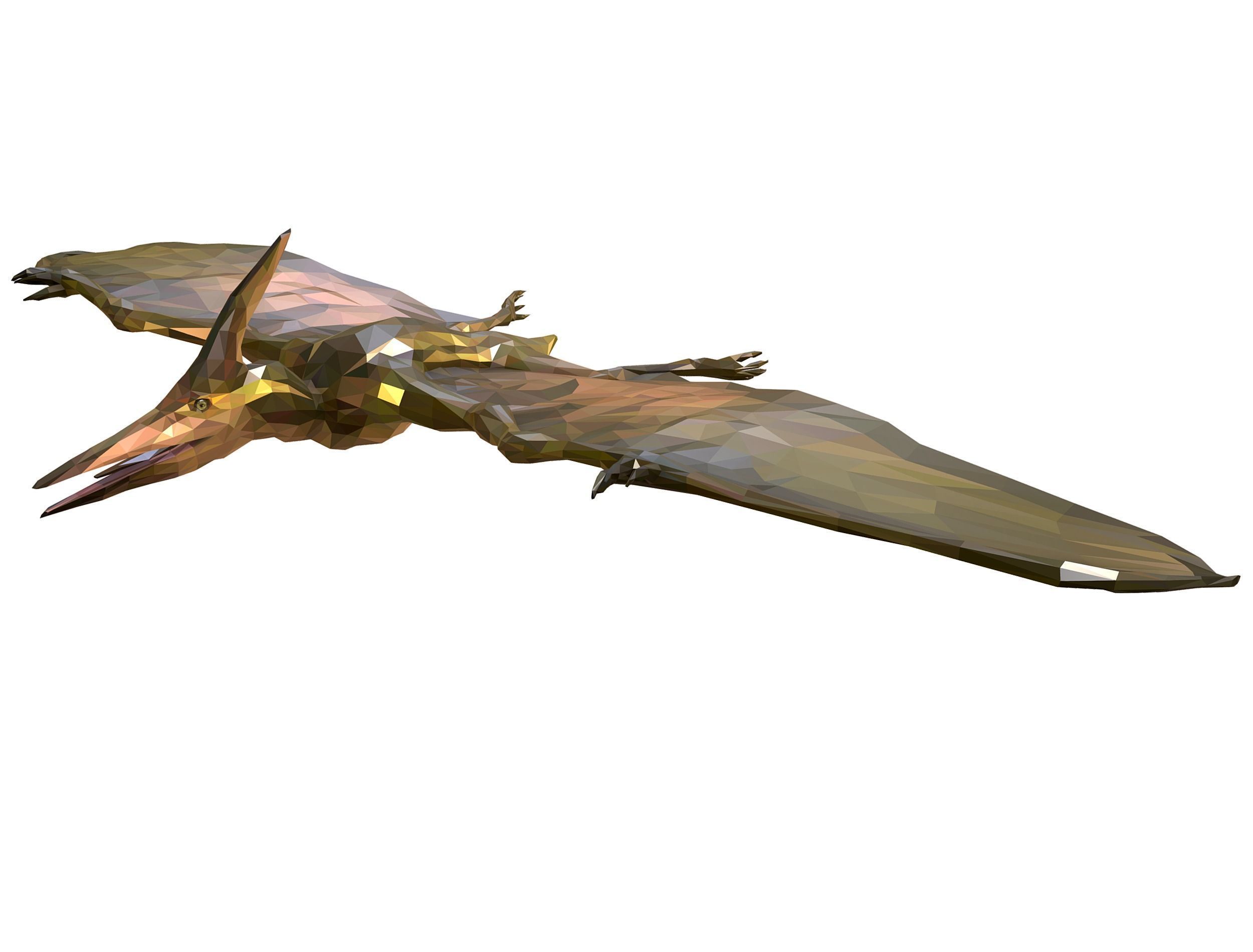 Dinosaur Pteranodon LowPoly Art Low-poly 3D model_21