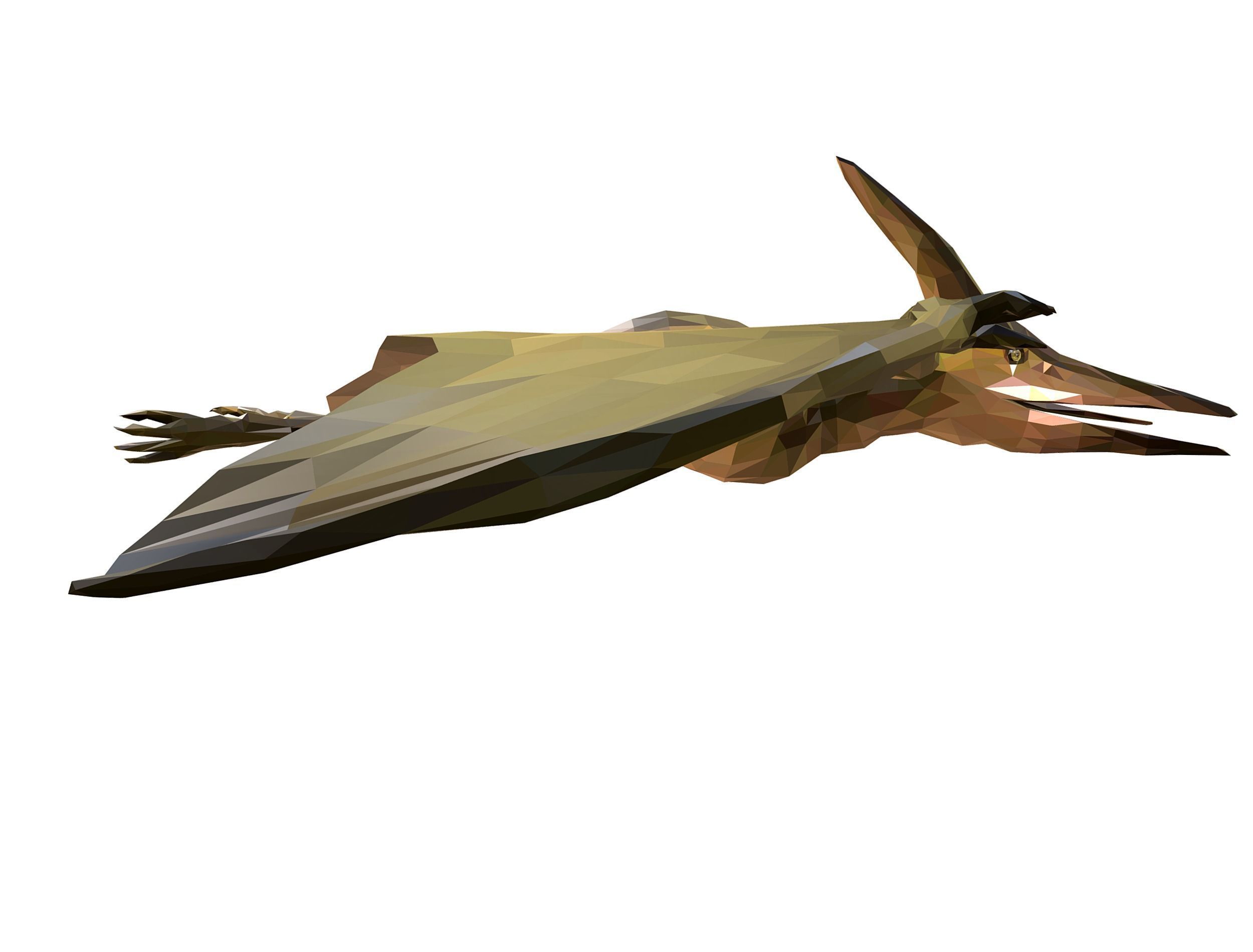 Dinosaur Pteranodon LowPoly Art Low-poly 3D model_24