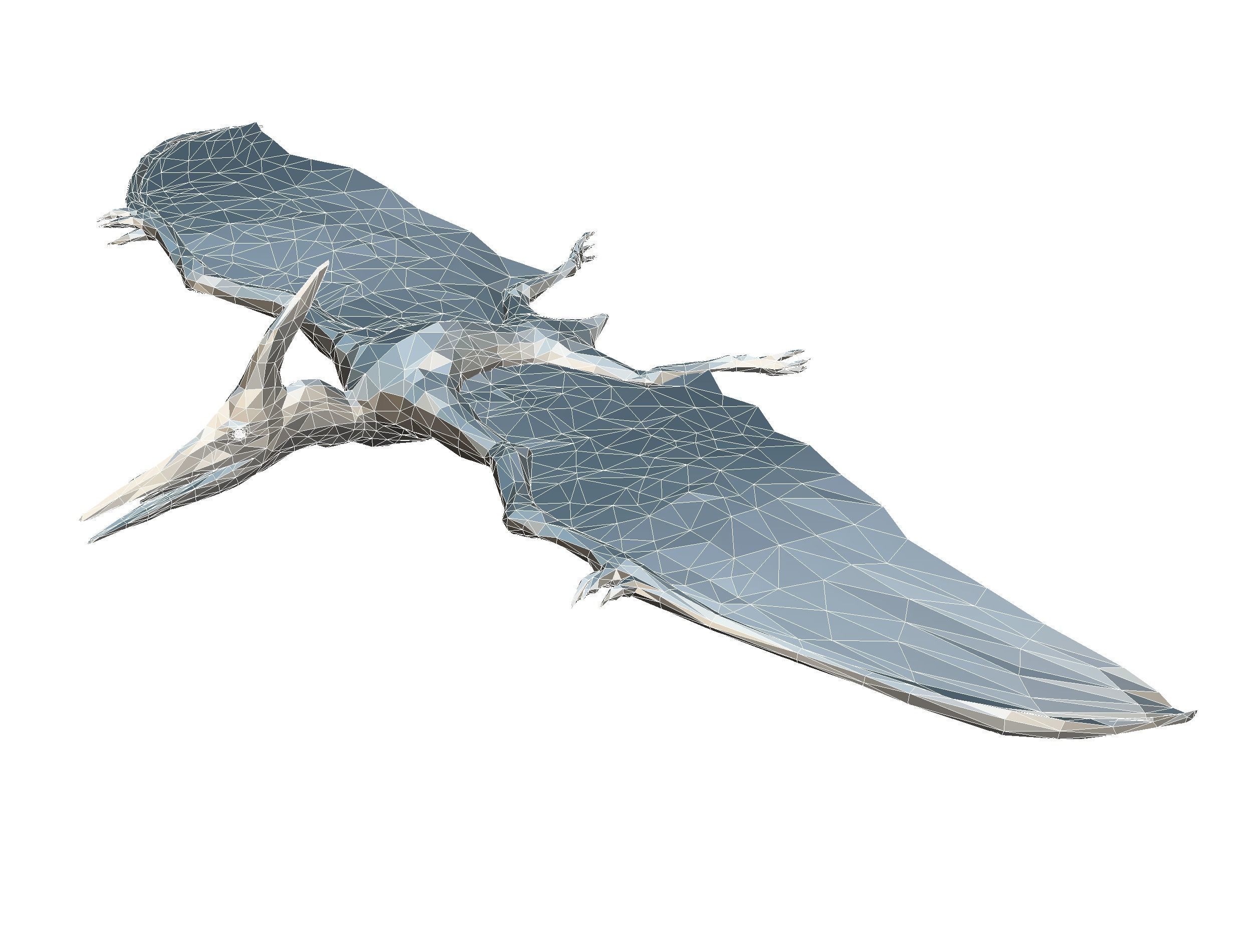 Dinosaur Pteranodon LowPoly Art Low-poly 3D model_31
