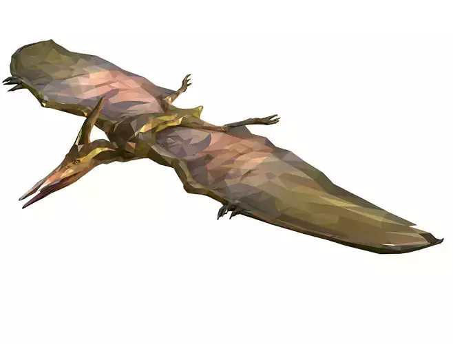 Dinosaur Pteranodon LowPoly Art Low-poly 3D model