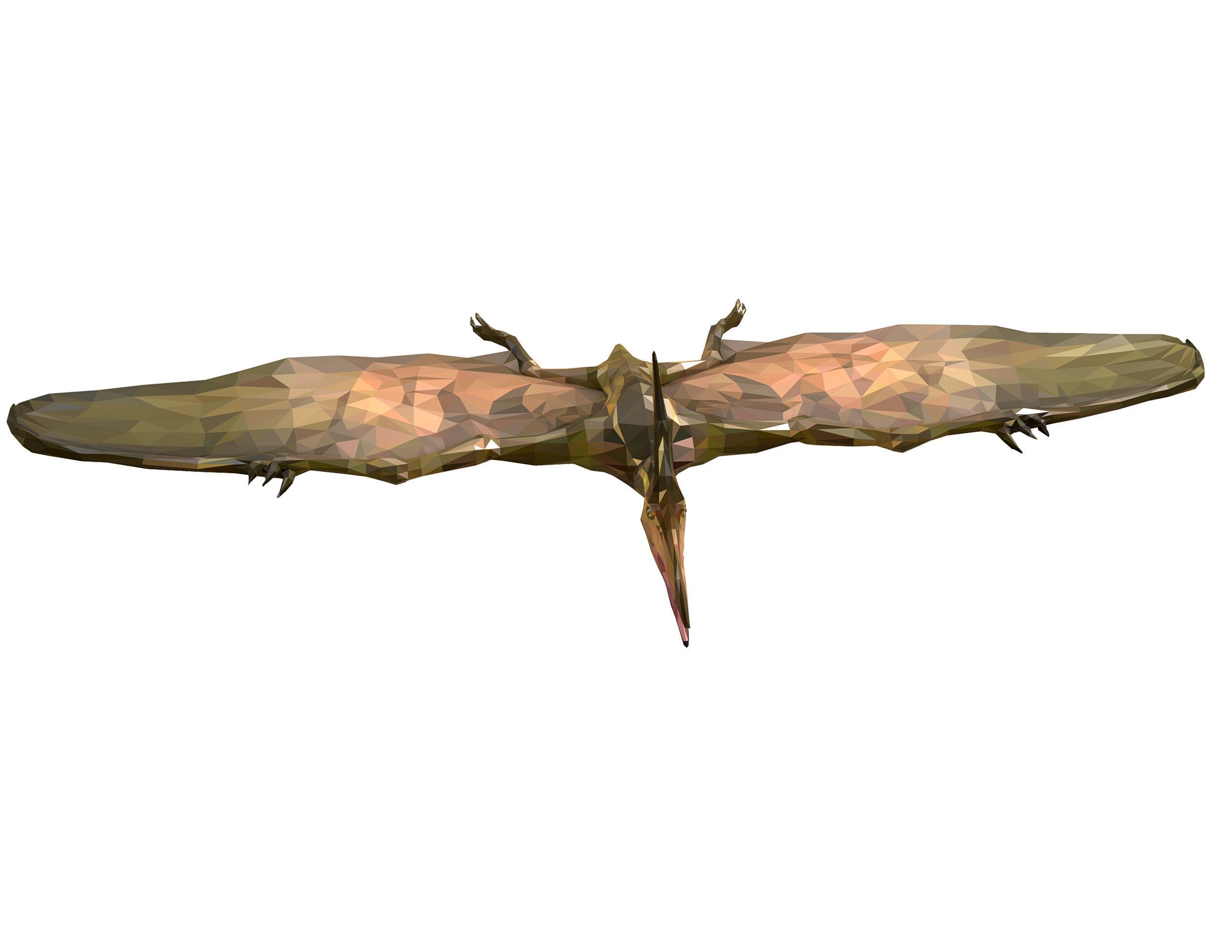 Dinosaur Pteranodon LowPoly Art Low-poly 3D model_4