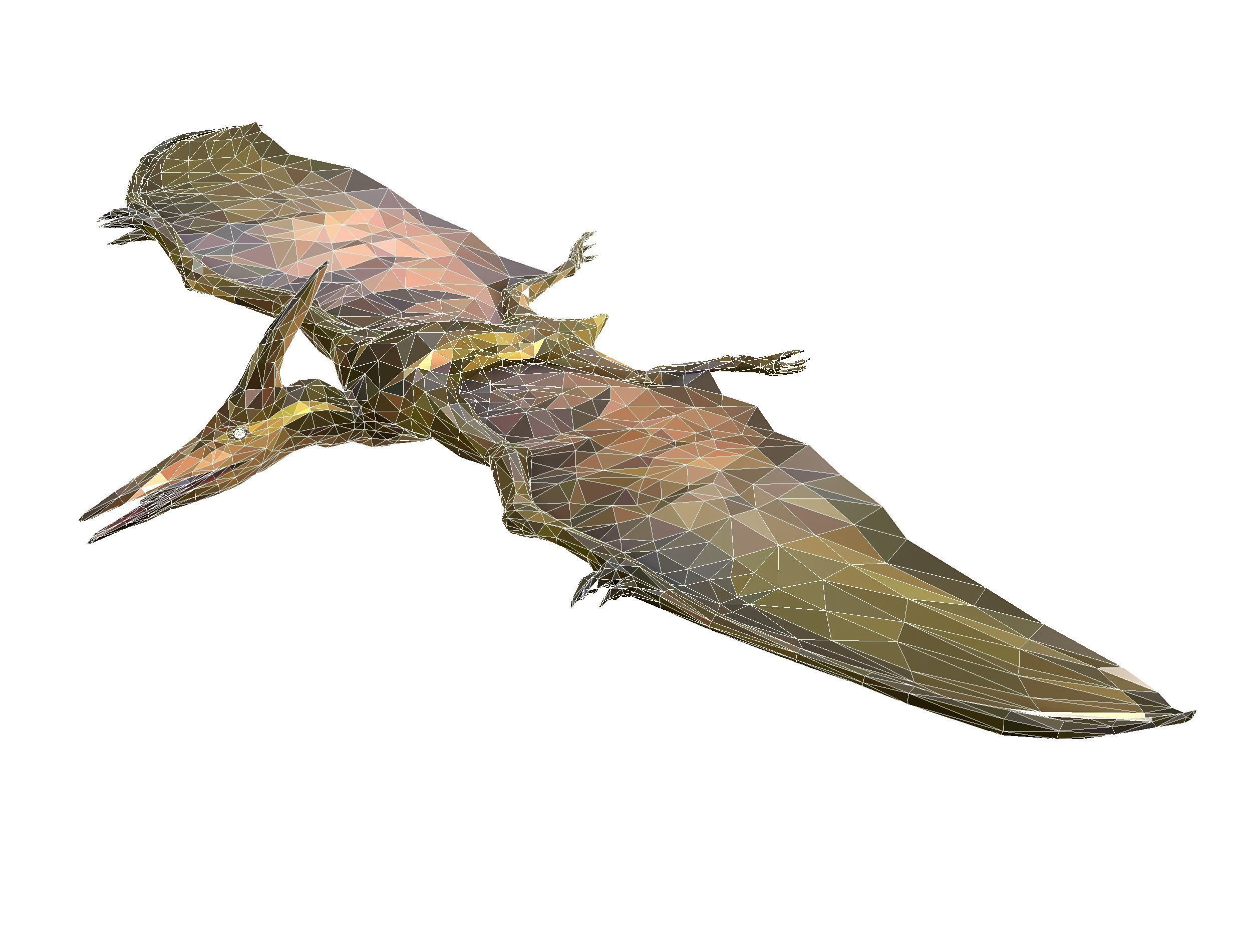Dinosaur Pteranodon LowPoly Art Low-poly 3D model_30