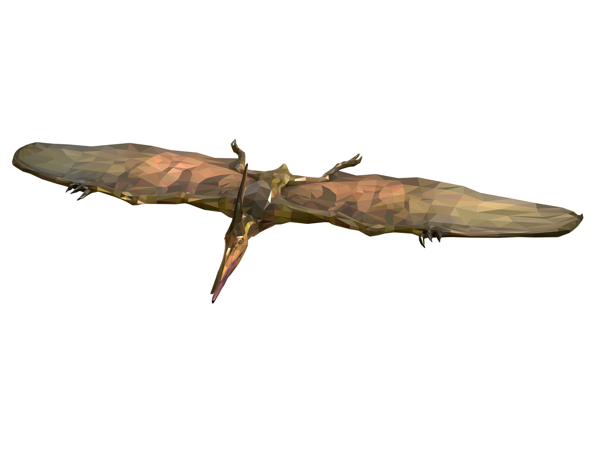 Dinosaur Pteranodon LowPoly Art Low-poly 3D model_2