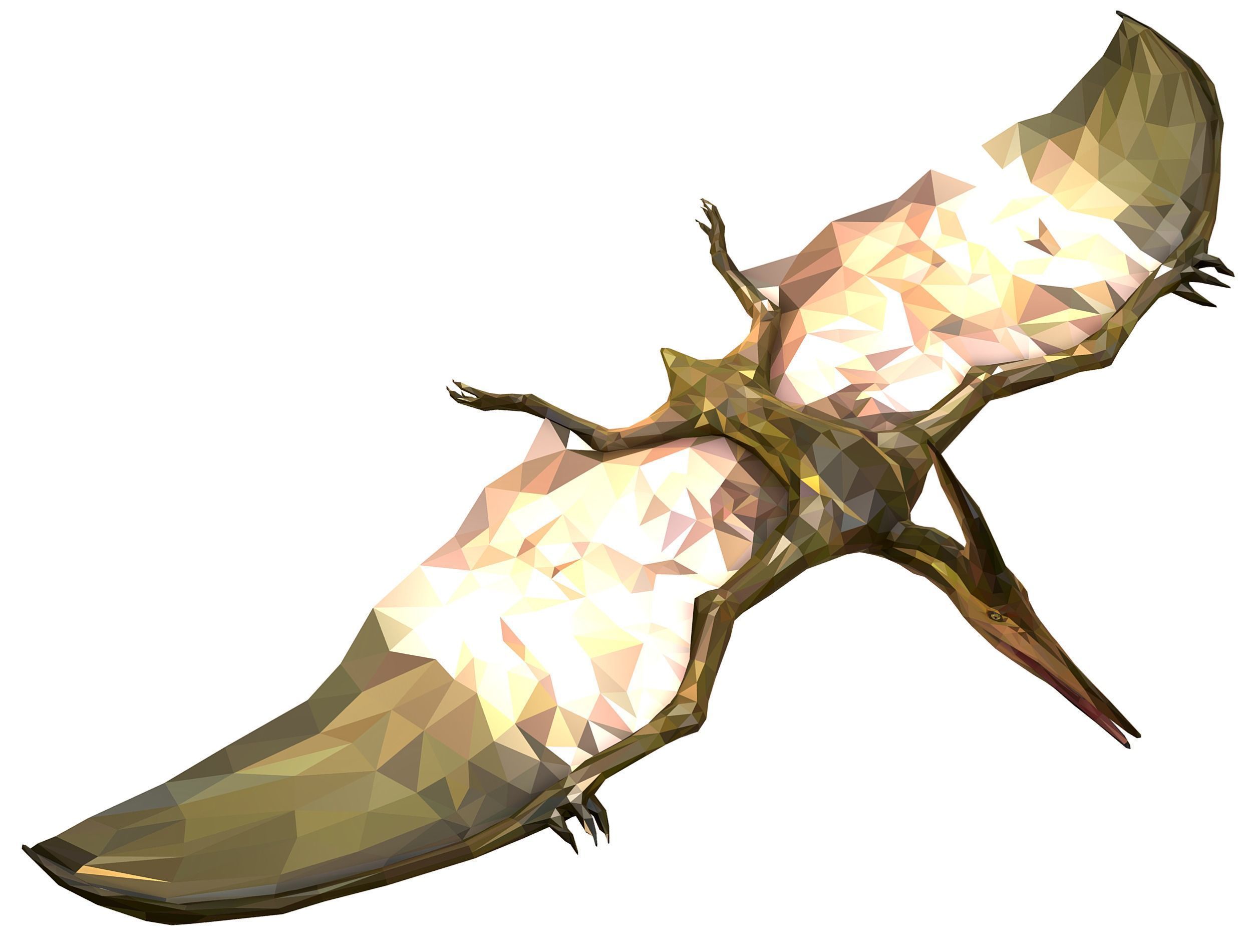 Dinosaur Pteranodon LowPoly Art Low-poly 3D model_27