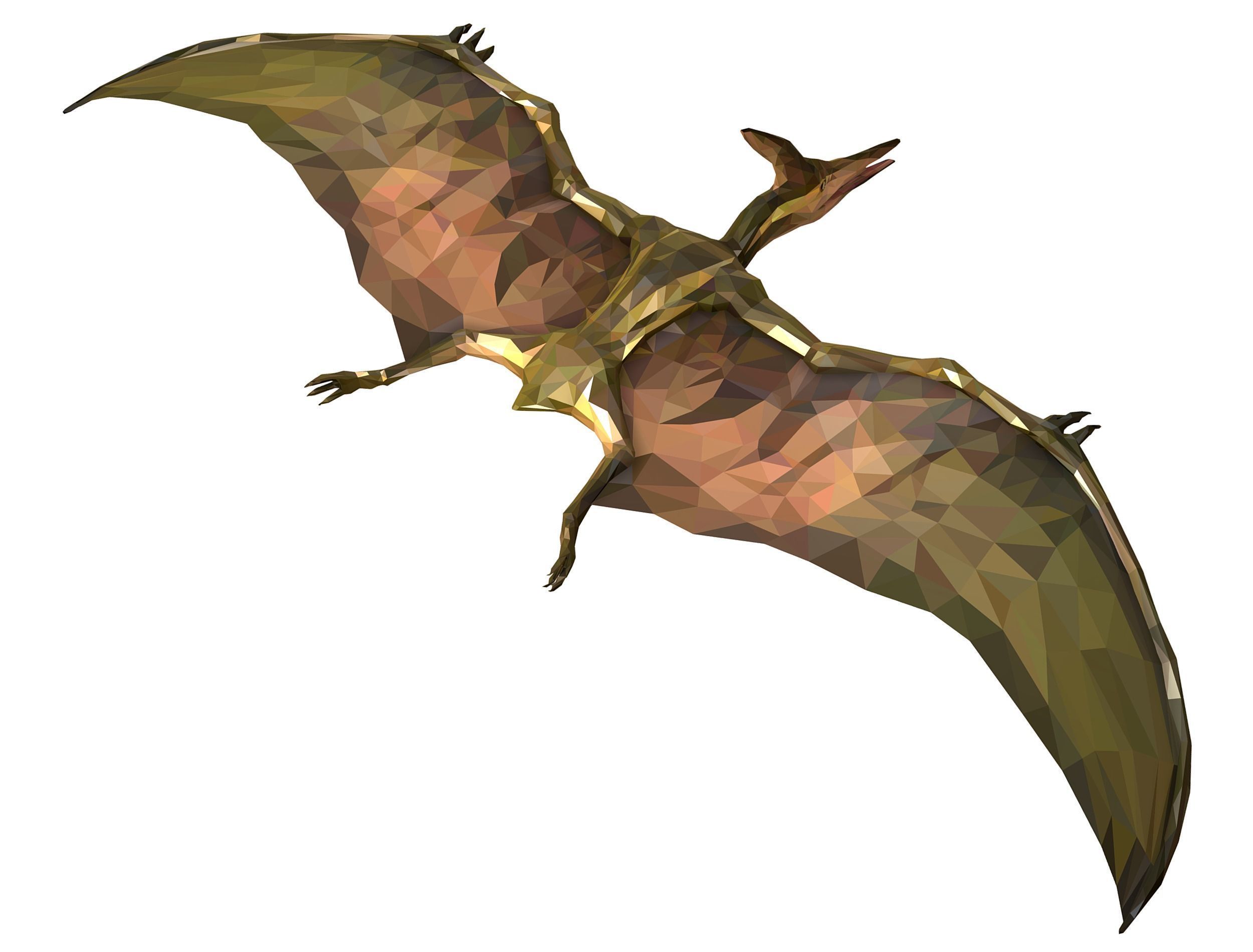 Dinosaur Pteranodon LowPoly Art Low-poly 3D model_28