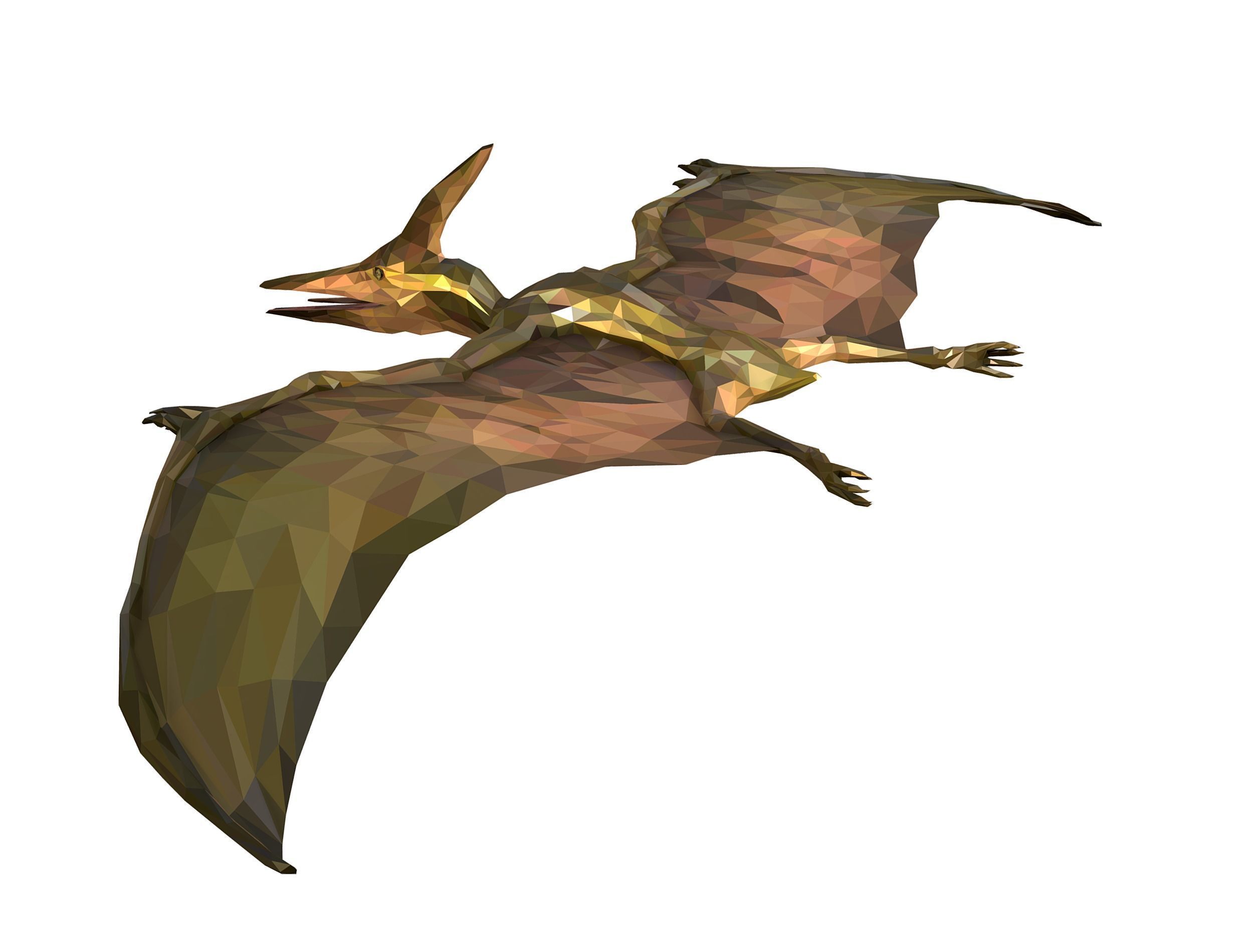 Dinosaur Pteranodon LowPoly Art Low-poly 3D model_17