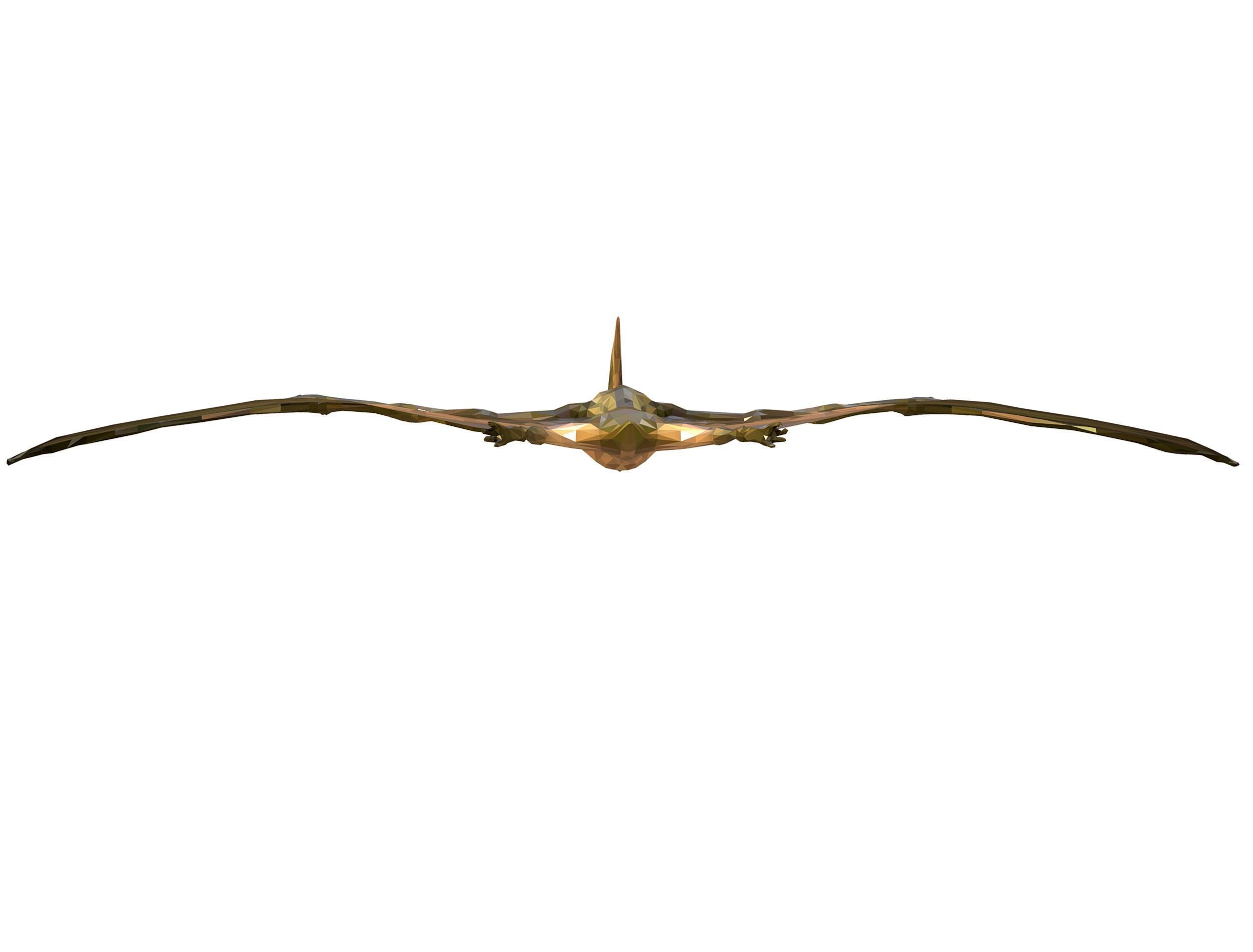 Dinosaur Pteranodon LowPoly Art Low-poly 3D model_25