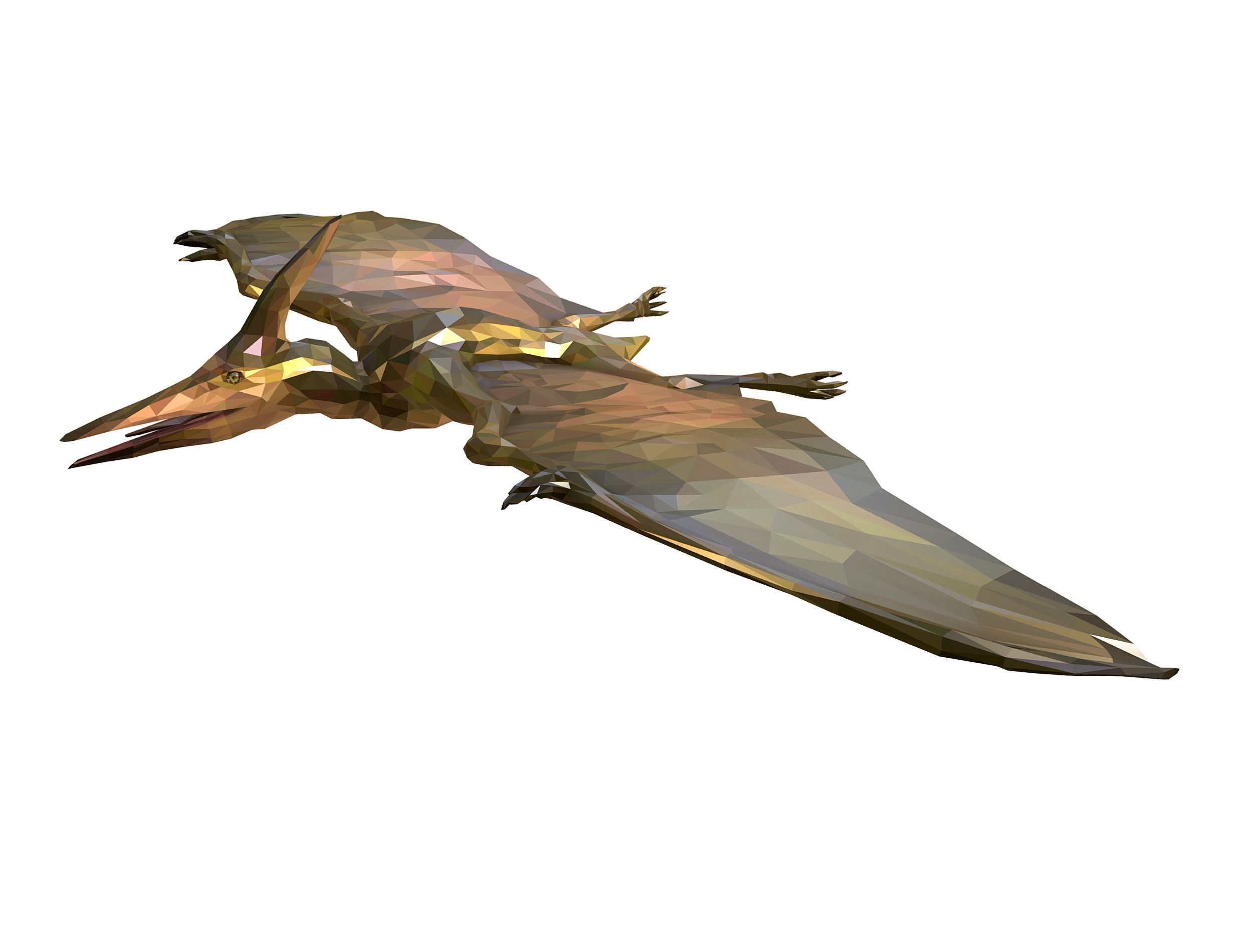 Dinosaur Pteranodon LowPoly Art Low-poly 3D model_20