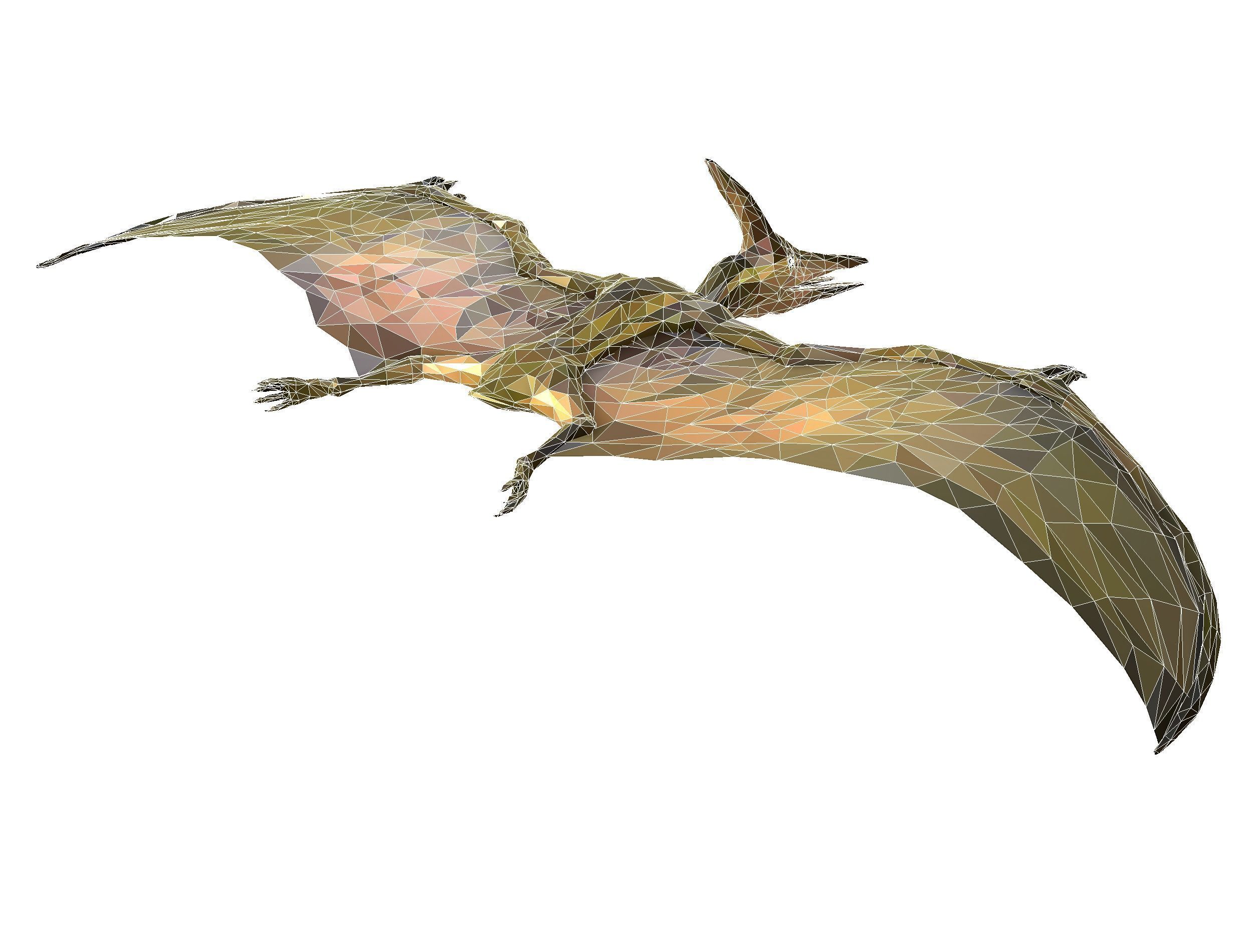 Dinosaur Pteranodon LowPoly Art Low-poly 3D model_32