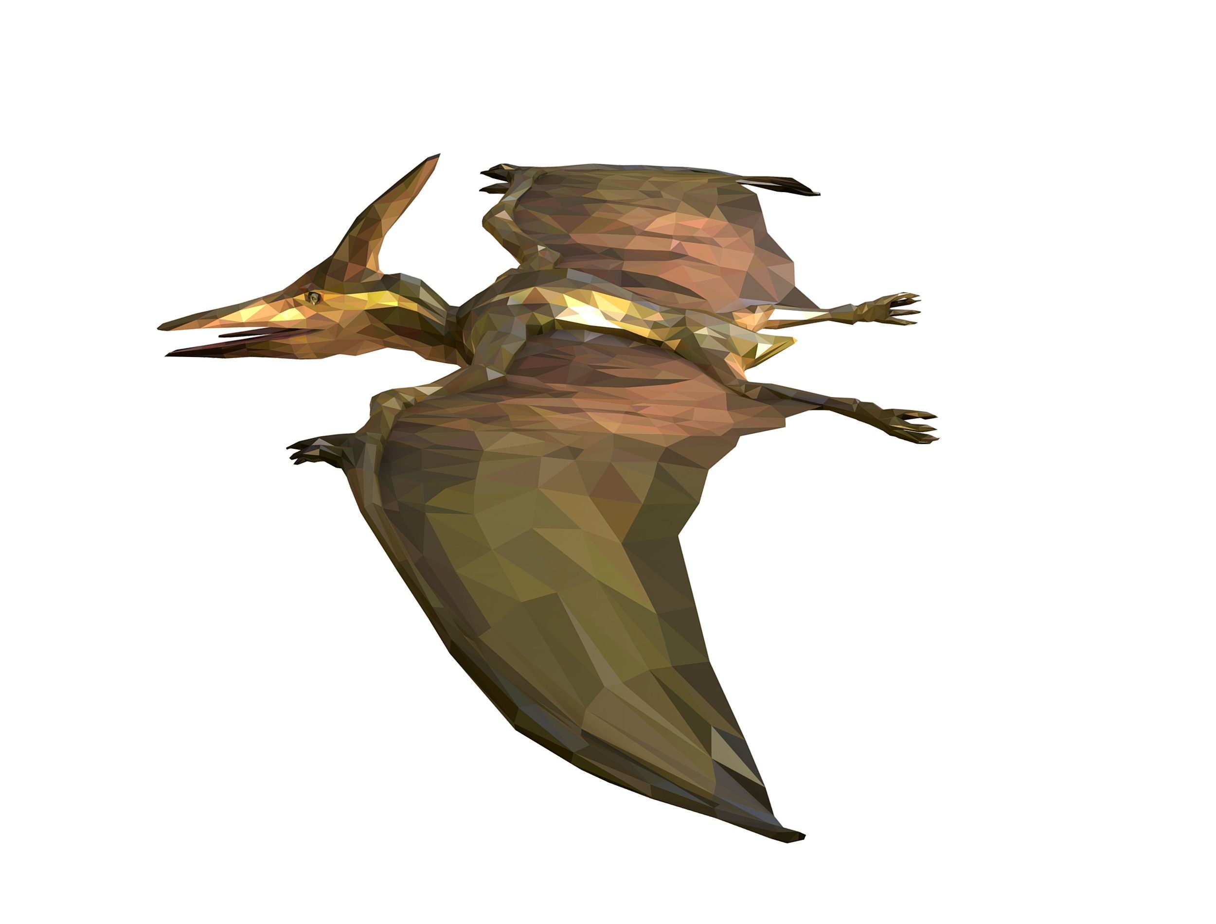 Dinosaur Pteranodon LowPoly Art Low-poly 3D model_18