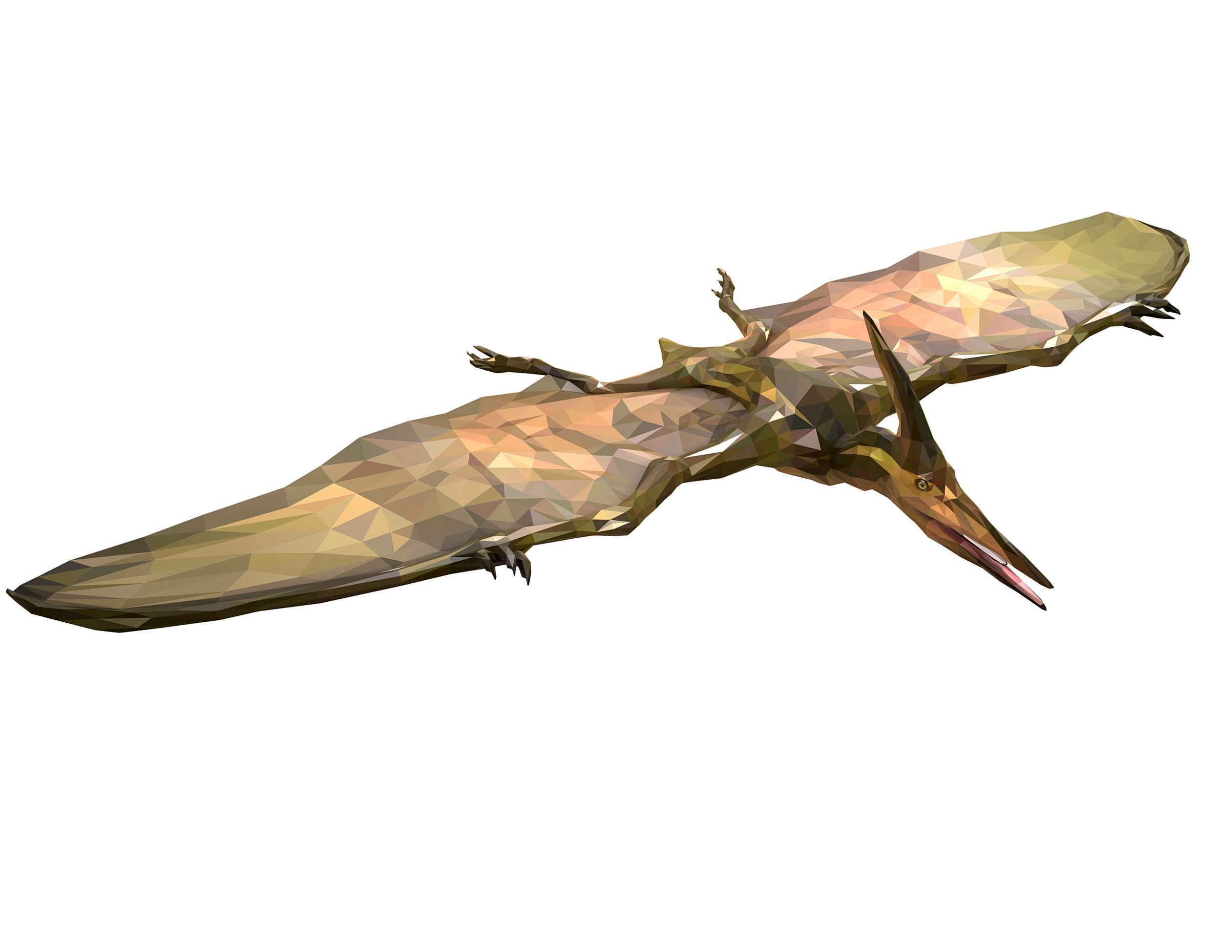 Dinosaur Pteranodon LowPoly Art Low-poly 3D model_6