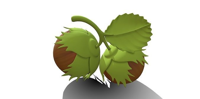 Whole Hazelnuts 3D model 3