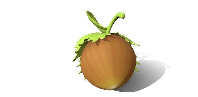 Whole Hazelnuts 3D model 4
