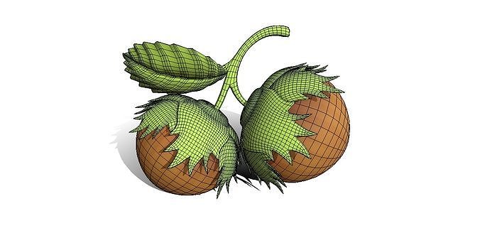 Whole Hazelnuts 3D model 5