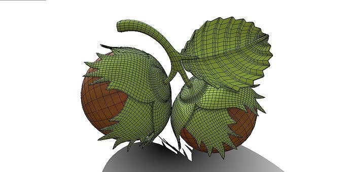Whole Hazelnuts 3D model 6