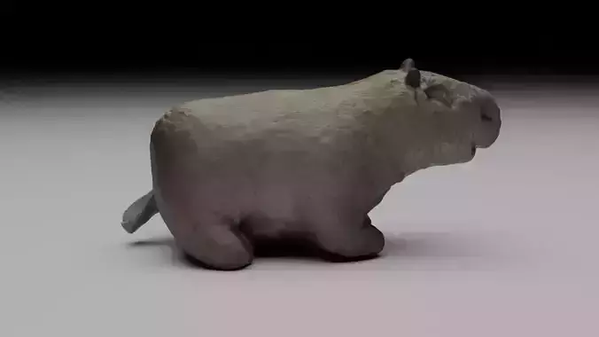 Capybara Free 3D model