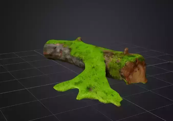 Moss-Covered Fallen Log 3D Model 3D model
