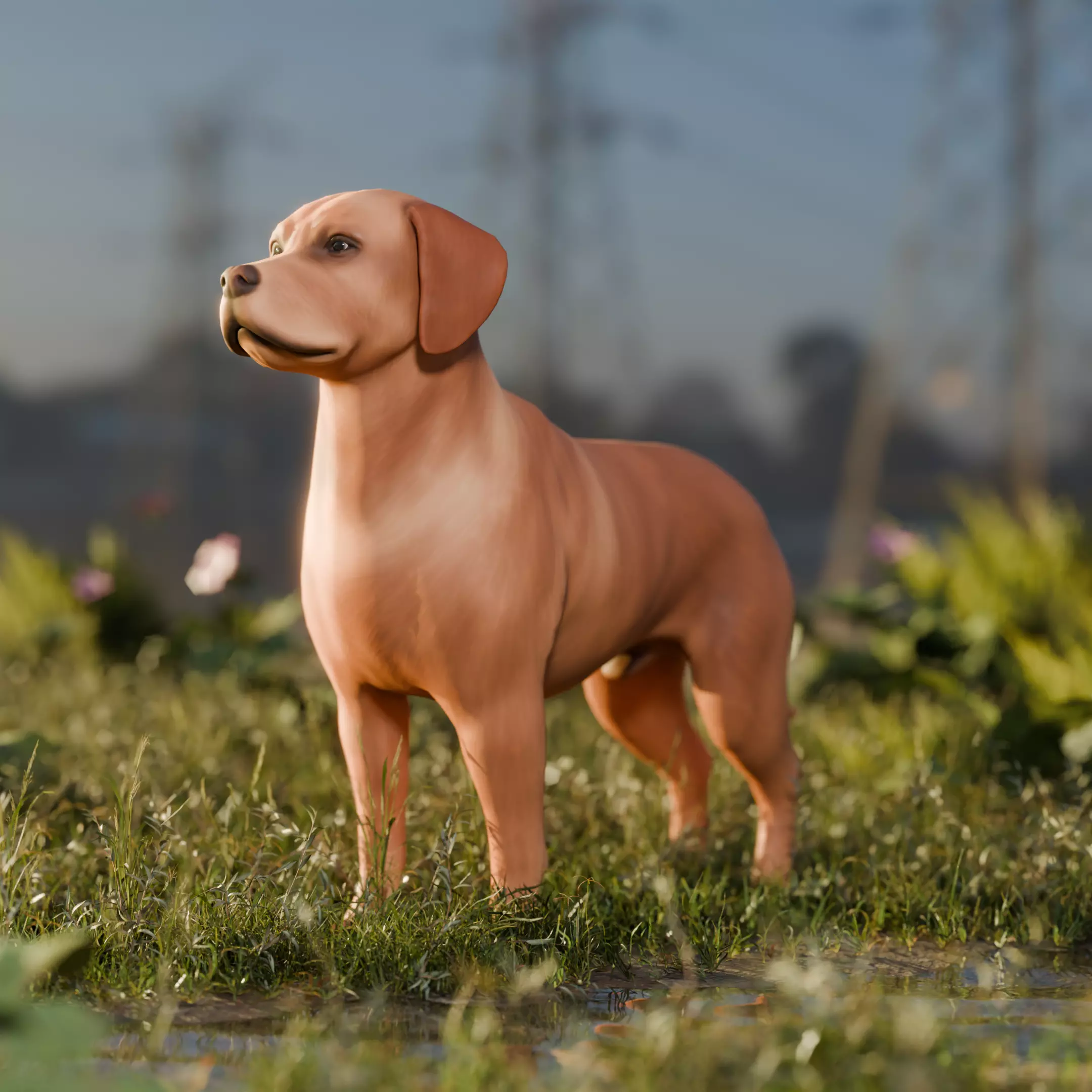 Dog Labrador Retriever Animal Low-poly 3D model