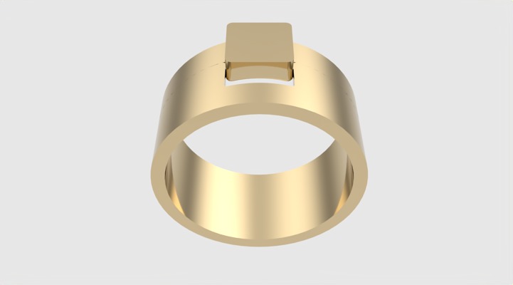 Minimalistic Simple Fashion Ring JDBCo 3D print model_20