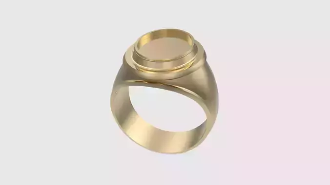Elegant Oval Inset Signet Ring JDBCo