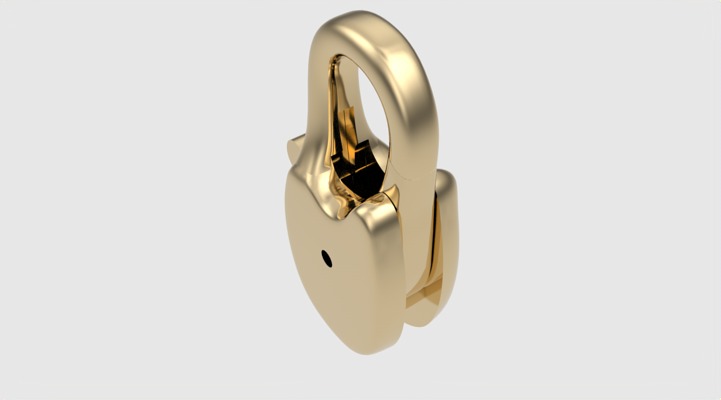 Simple Carabin Jewelry Lock JDBCo 3D print model_25