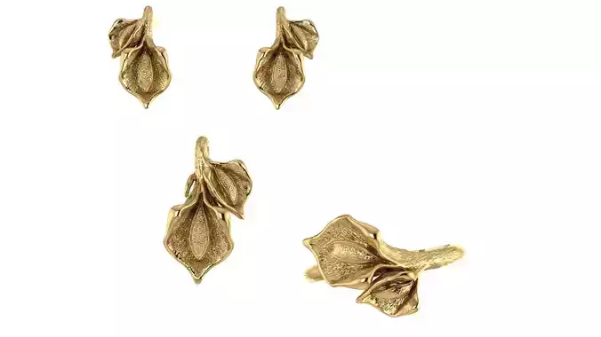 Flower Jewel Set  3D print model