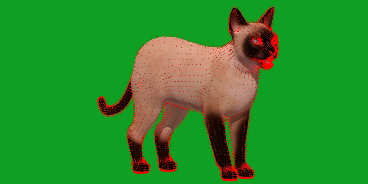 Tonkinese Cat Low-poly 3D model_17