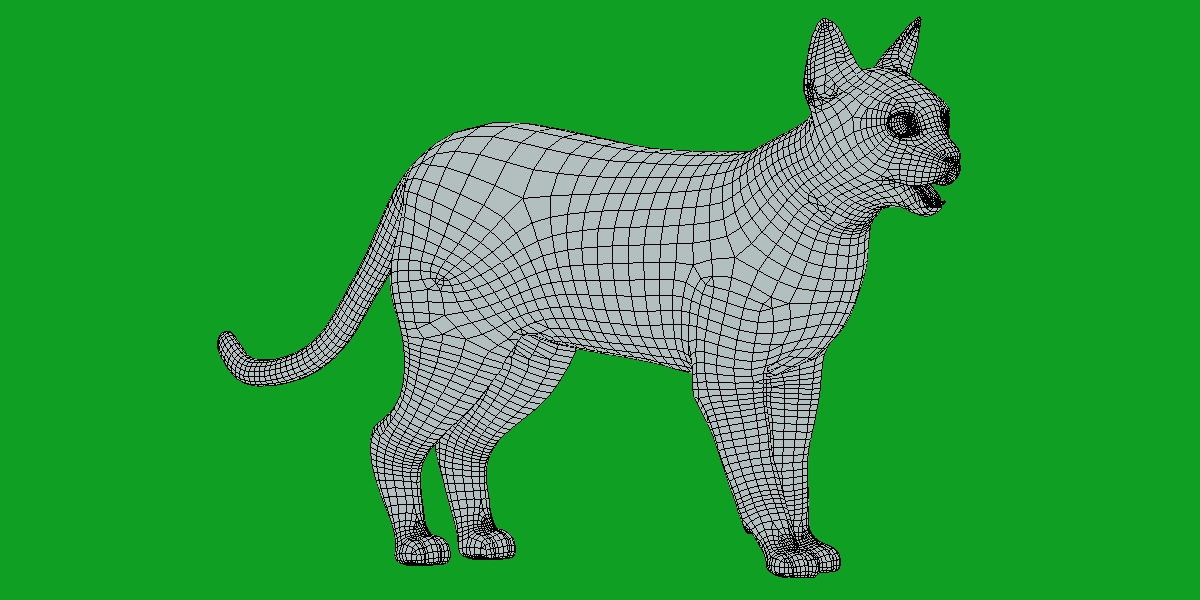 Tonkinese Cat Low-poly 3D model_13