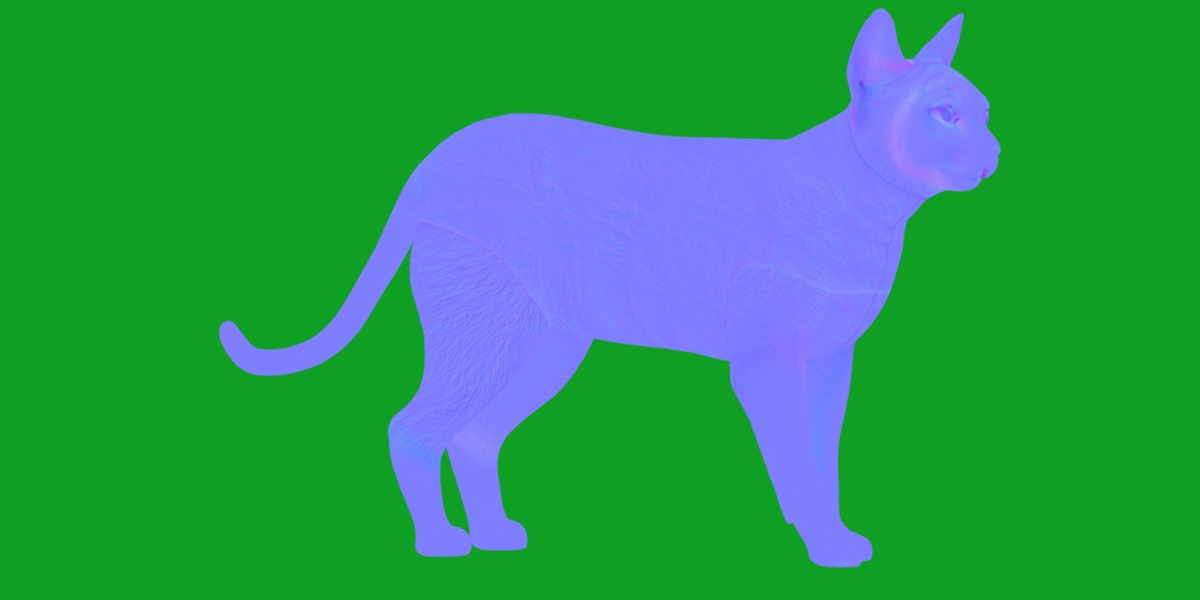 Tonkinese Cat Low-poly 3D model_4
