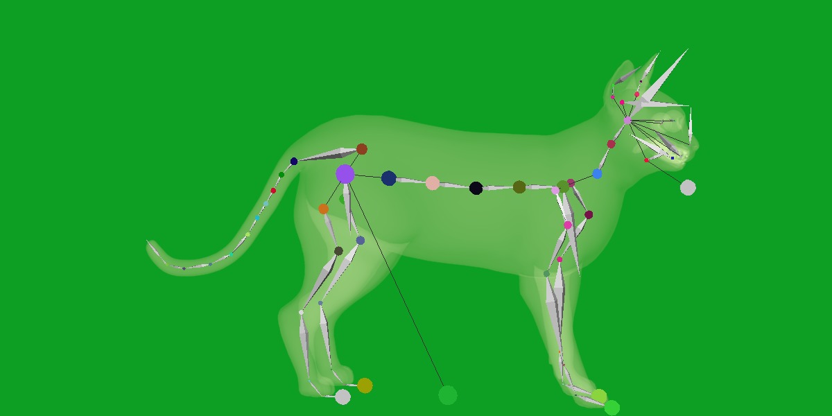 Tonkinese Cat Low-poly 3D model_26