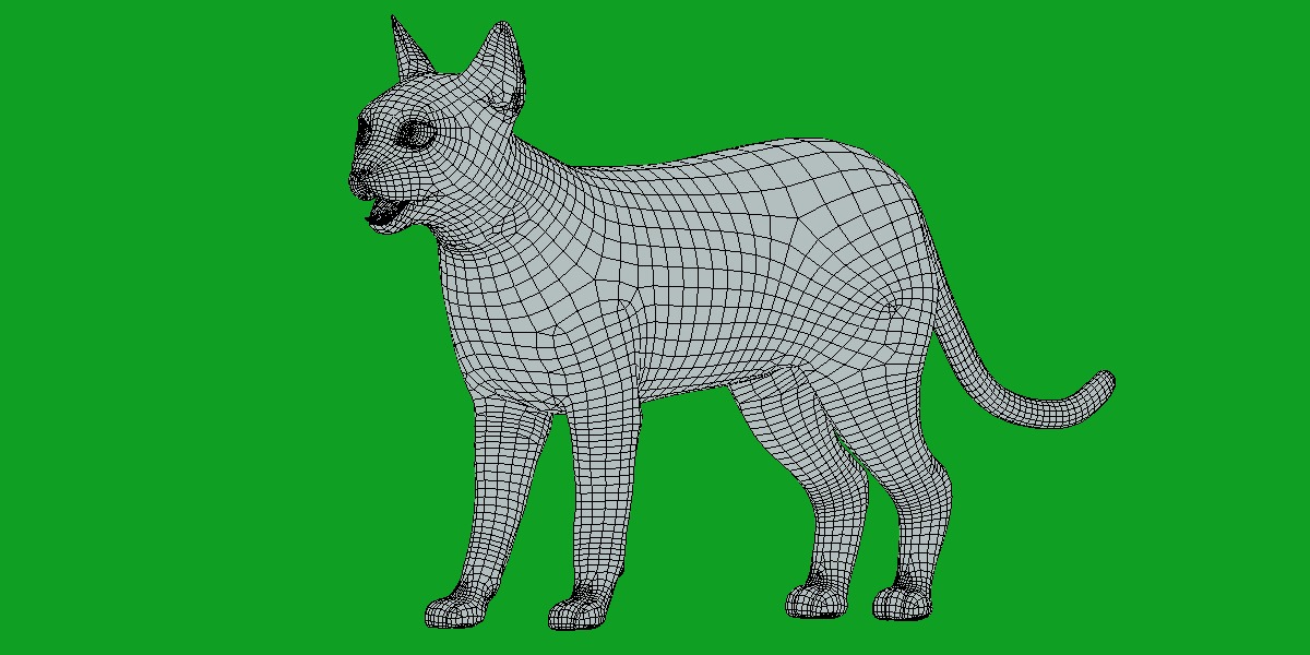 Tonkinese Cat Low-poly 3D model_15