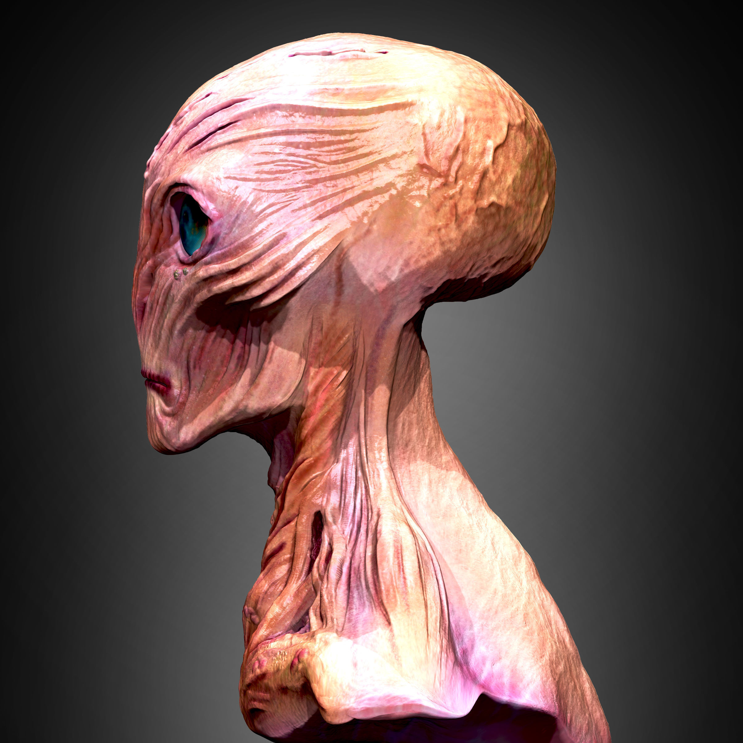 Morphos Titan Low-poly 3D model_2