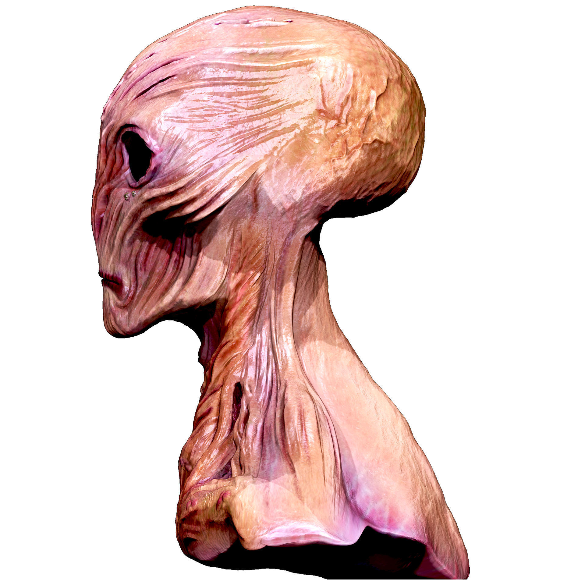 Morphos Titan Low-poly 3D model_4