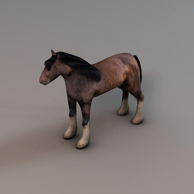 Heavy draft horse Low-poly 3D model_2