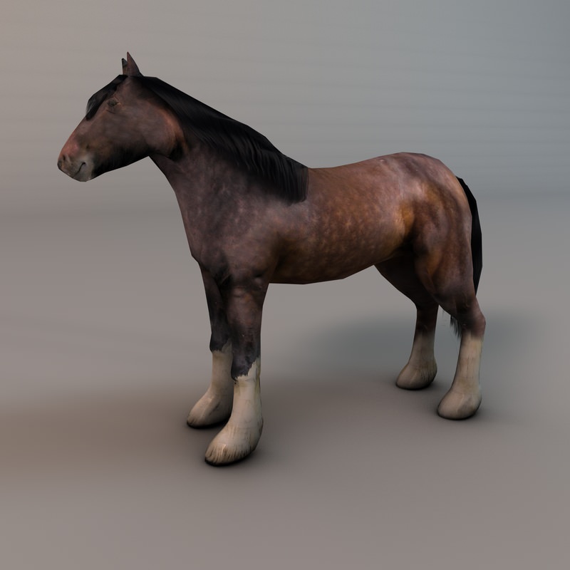 Heavy draft horse Low-poly 3D model_1