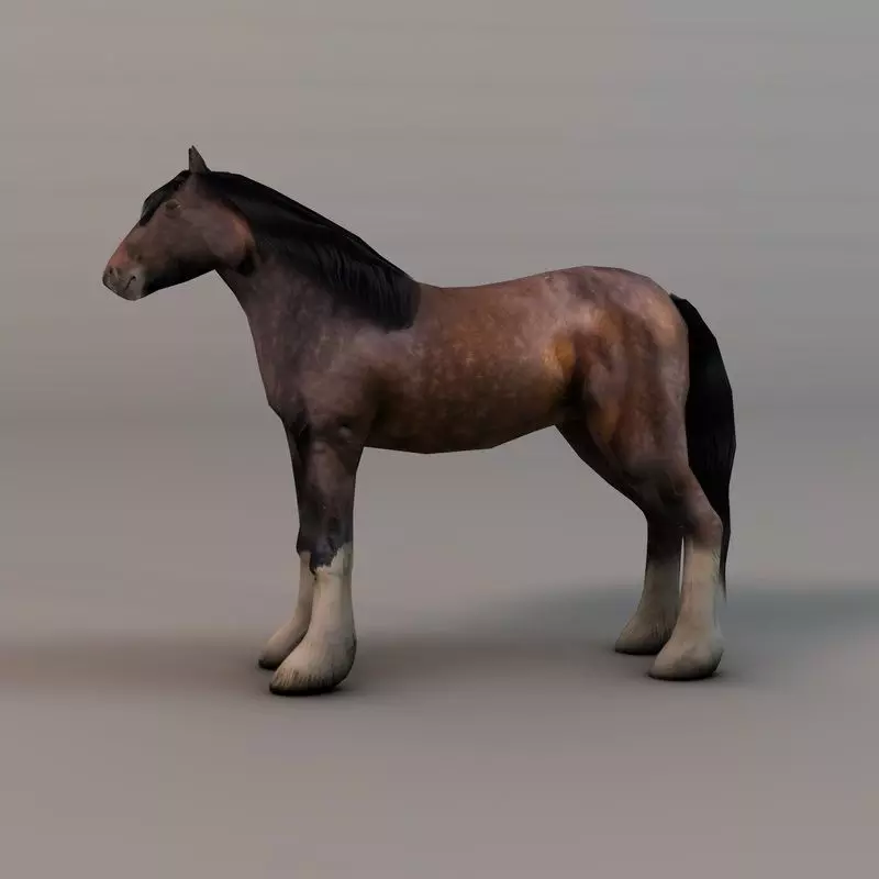 Heavy draft horse Low-poly 3D model_0