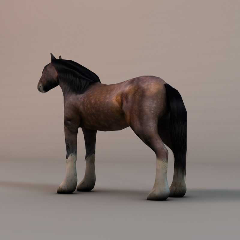 Heavy draft horse Low-poly 3D model_3