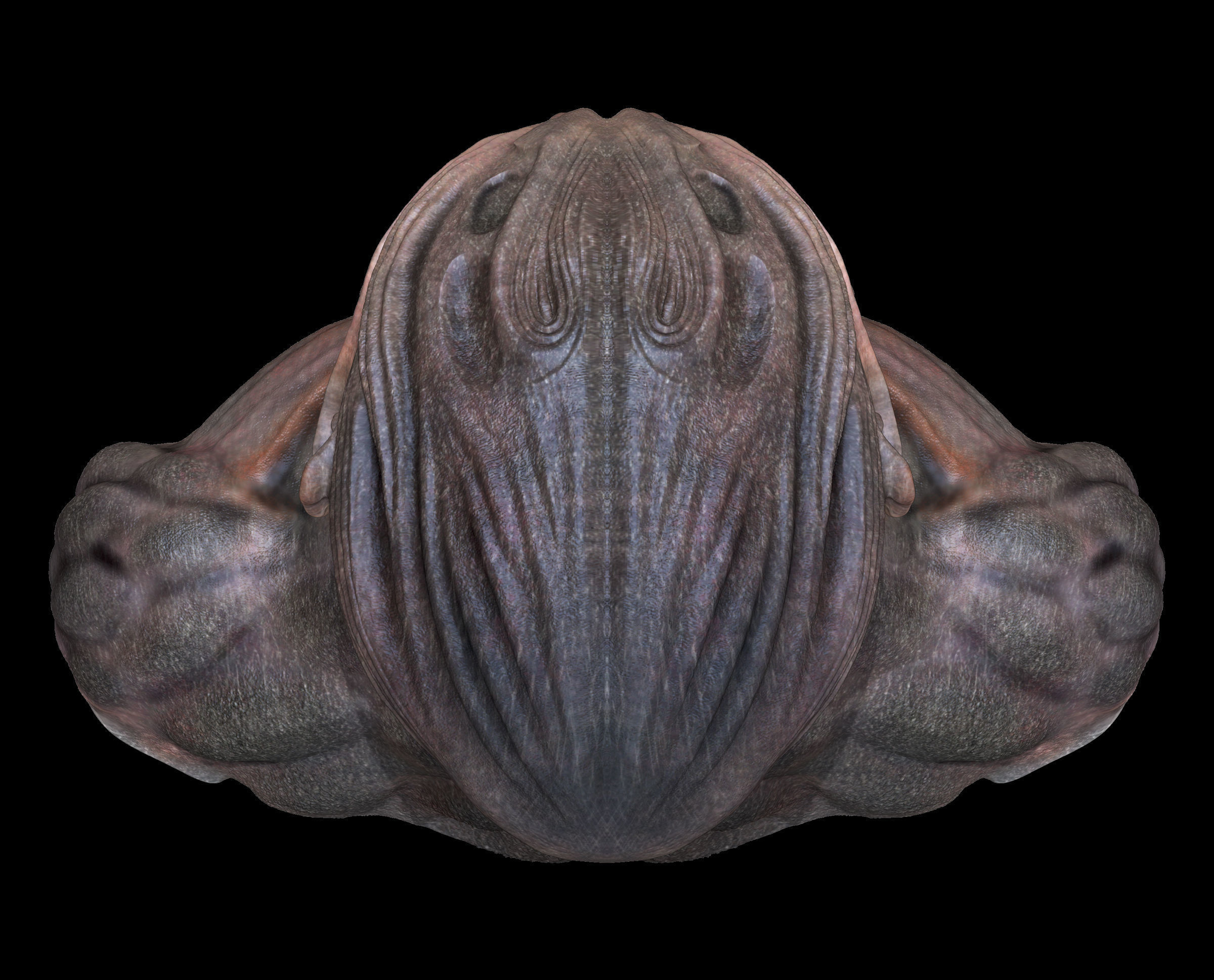 Elder of the Abyss Low-poly 3D model_6