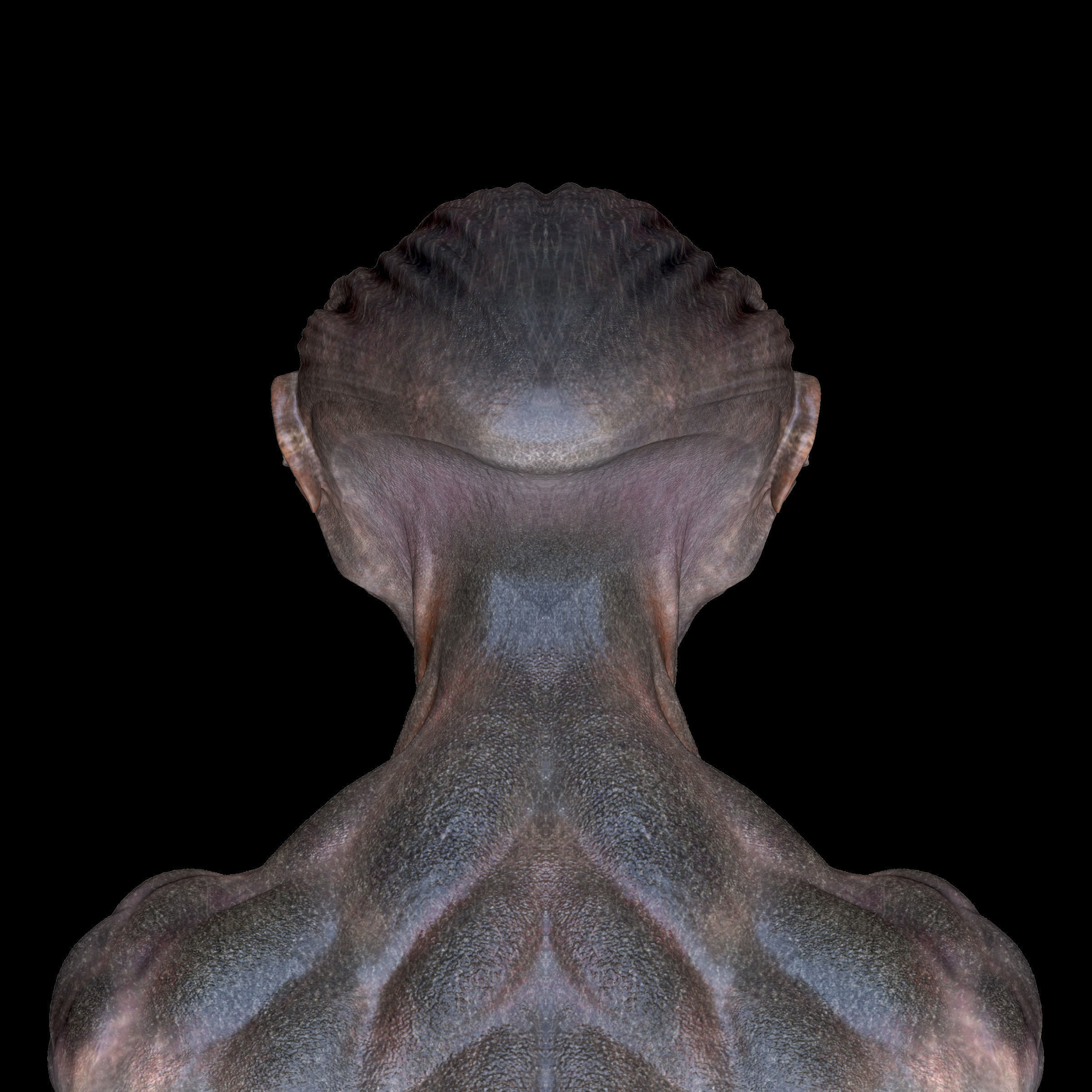 Elder of the Abyss Low-poly 3D model_5