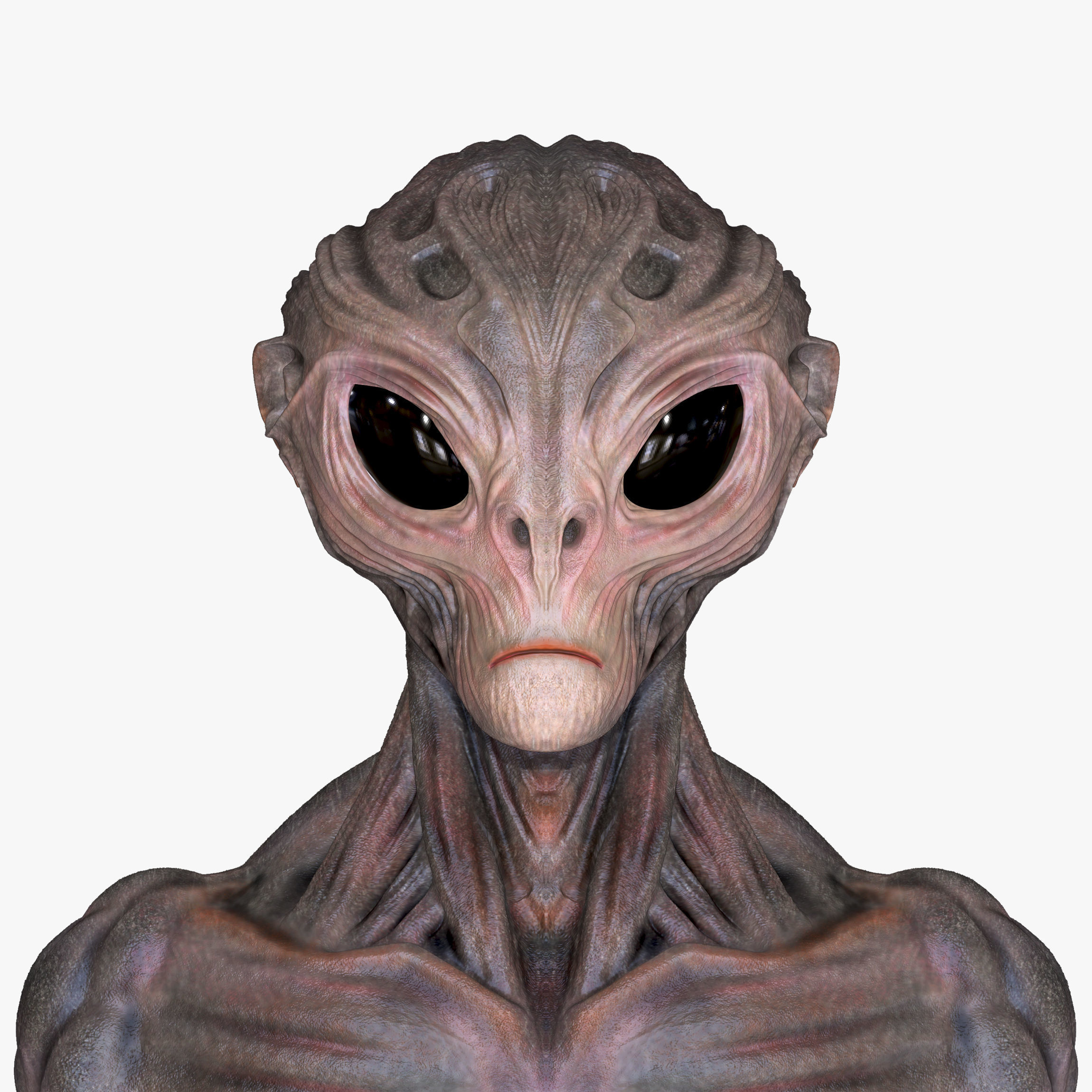 Elder of the Abyss Low-poly 3D model_8