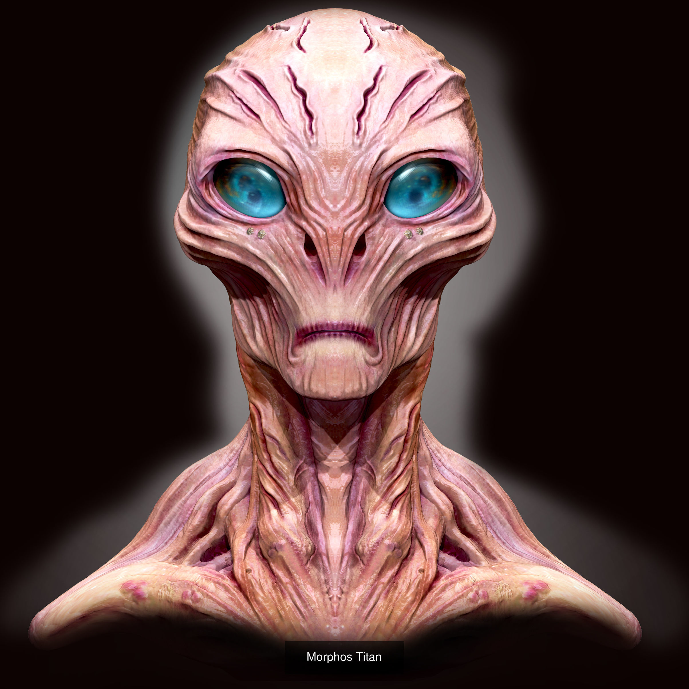 ALIEN GRROUP 3D Model Collection_3