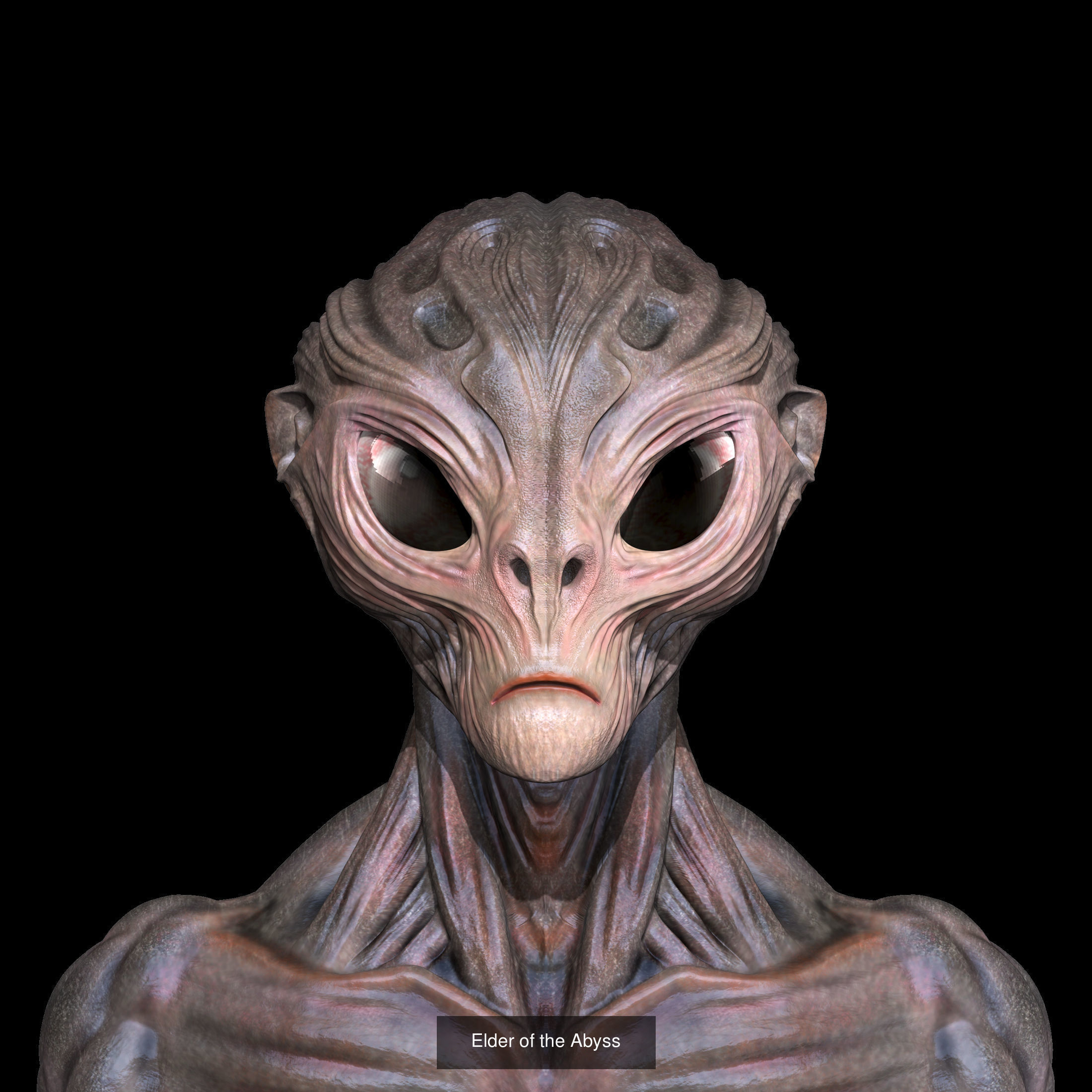 ALIEN GRROUP 3D Model Collection_4
