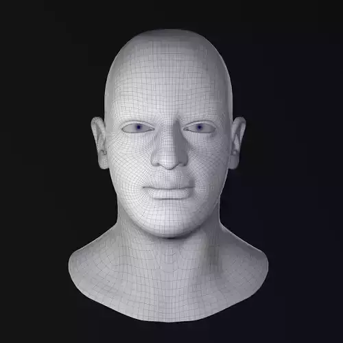 Basemesh Face001 3D Model